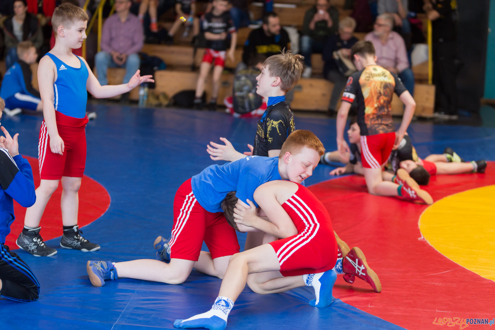 Zapaśniczy Turniej Wielkanocny w KS Sobieski Foto: lepszyPOZNAN.pl/Piotr Rychter Zapaśniczy Turniej Wielkanocny w KS Sobieski Foto: lepszyPOZNAN.pl/Piotr Rychter