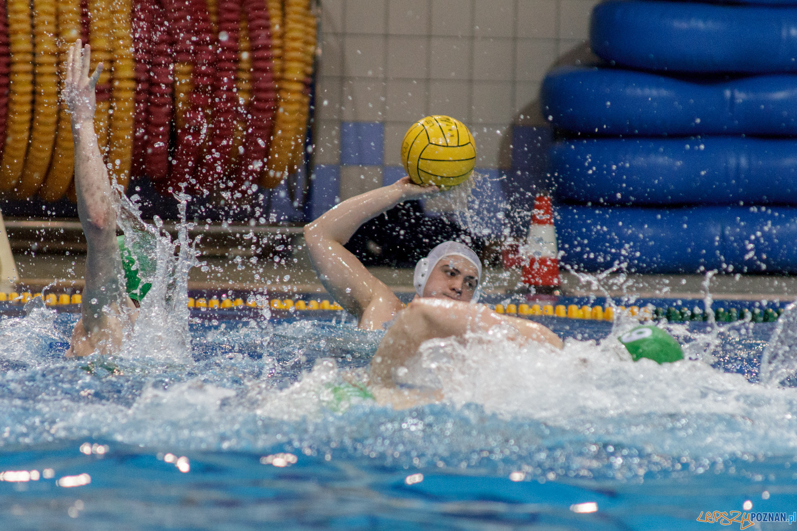 KS Waterpolo Poznań - Legia Warszawa Foto: lepszyPOZNAN.pl / Ewelina Jaśkowiak KS Waterpolo Poznań - Legia Warszawa Foto: lepszyPOZNAN.pl / Ewelina Jaśkowiak