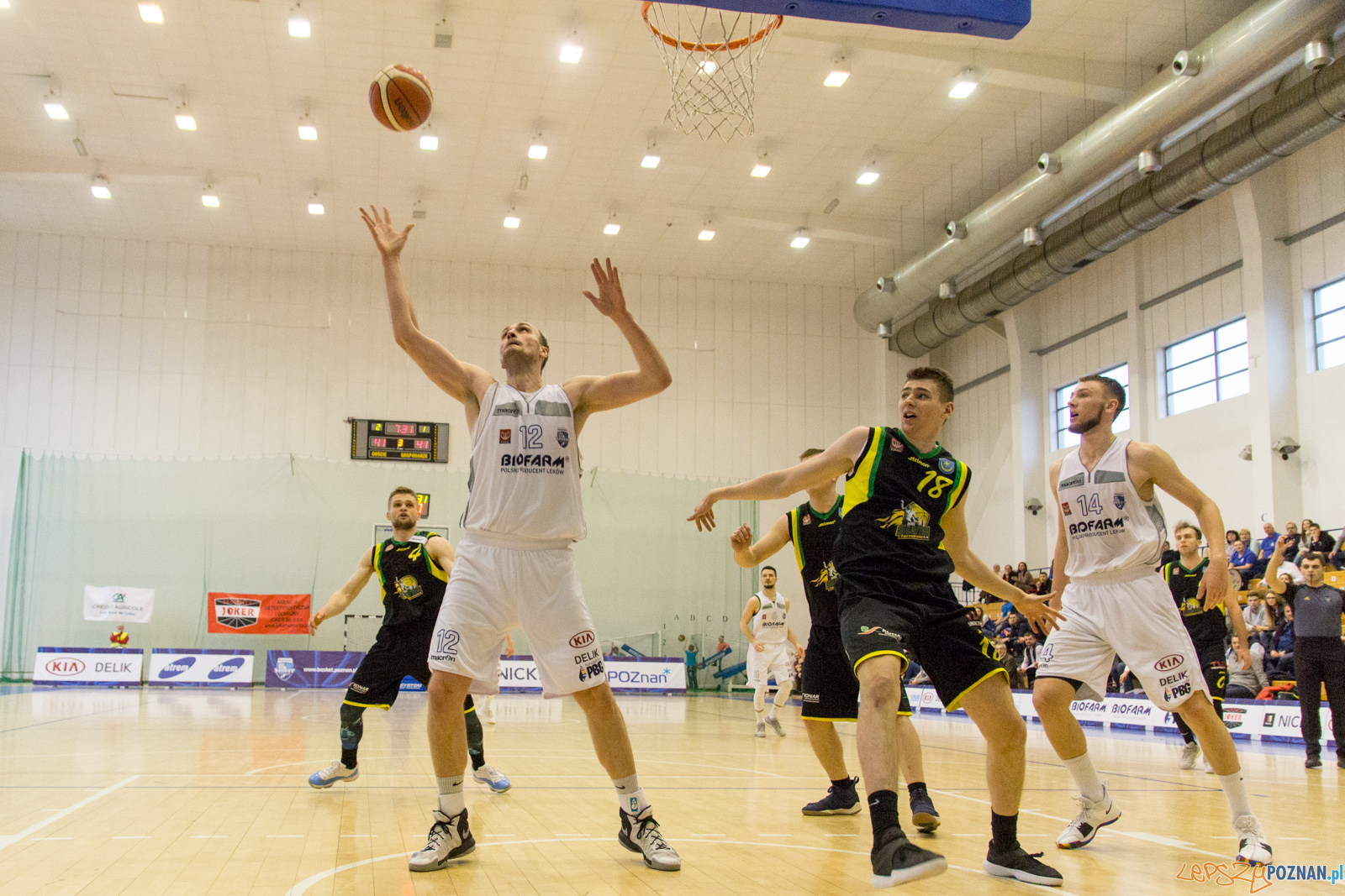 Biofarm Basket Poznań - Siarka Tarnobrzeg Foto: lepszyPOZNAN.pl / Ewelina Jaśkowiak Biofarm Basket Poznań - Siarka Tarnobrzeg Foto: lepszyPOZNAN.pl / Ewelina Jaśkowiak