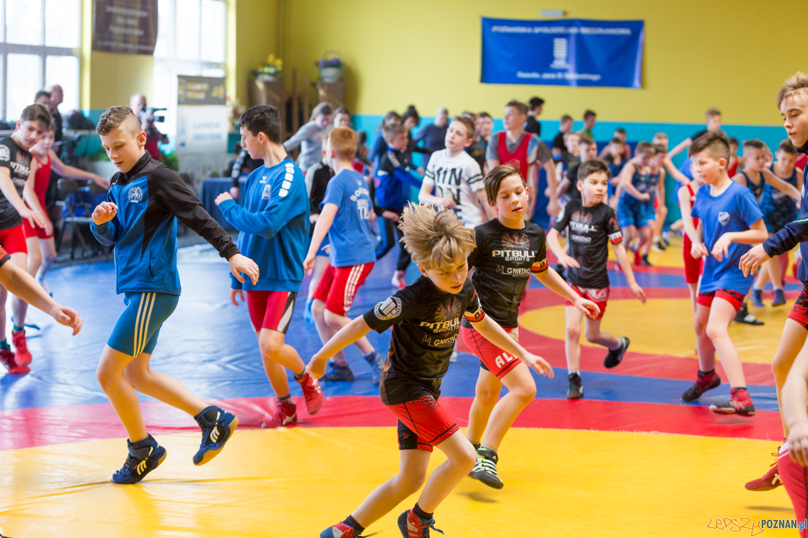Zapaśniczy Turniej Wielkanocny w KS Sobieski Foto: lepszyPOZNAN.pl/Piotr Rychter Zapaśniczy Turniej Wielkanocny w KS Sobieski Foto: lepszyPOZNAN.pl/Piotr Rychter