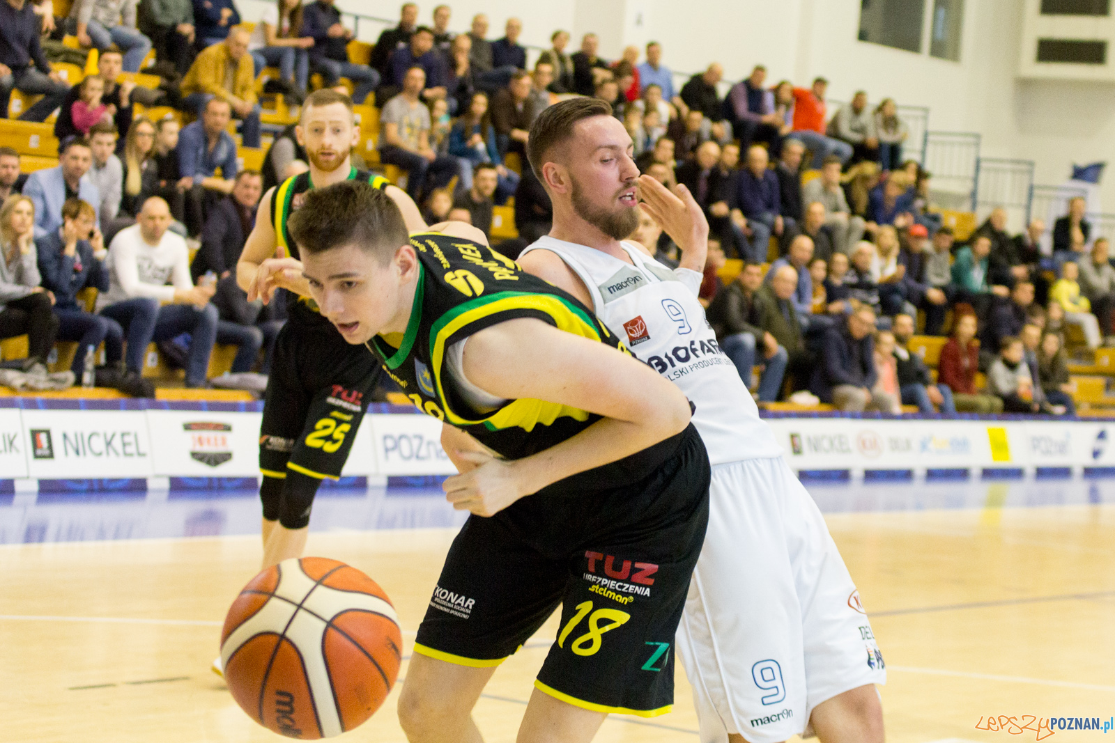 Biofarm Basket Poznań - Siarka Tarnobrzeg Foto: lepszyPOZNAN.pl / Ewelina Jaśkowiak Biofarm Basket Poznań - Siarka Tarnobrzeg Foto: lepszyPOZNAN.pl / Ewelina Jaśkowiak