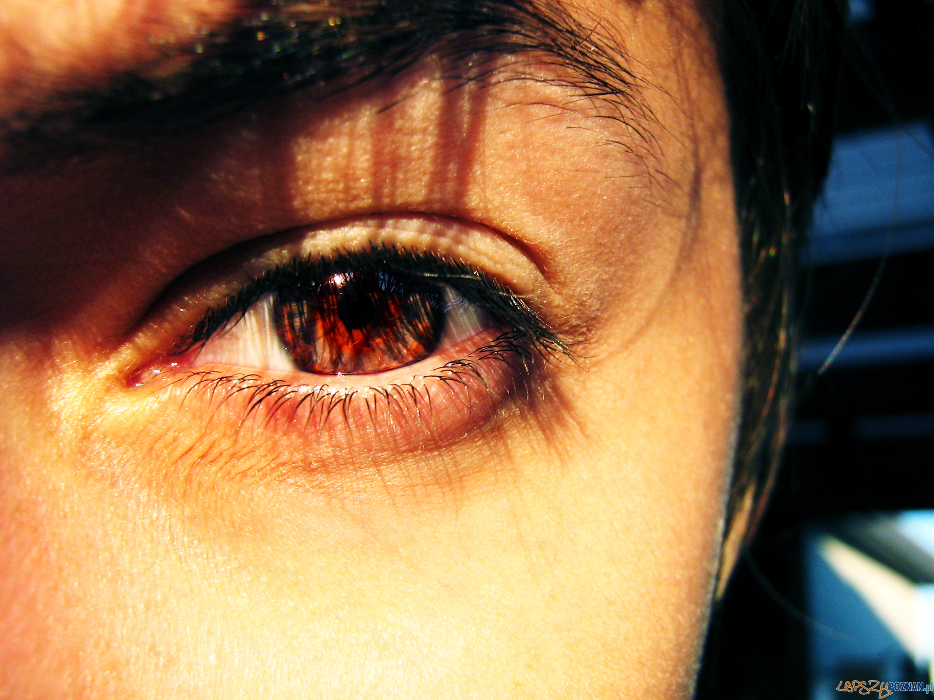 Oko Foto: Thomas de Florie - freeimages.com/photographer/Gomez_f-57767 Oko Foto: Thomas de Florie - freeimages.com/photographer/Gomez_f-57767