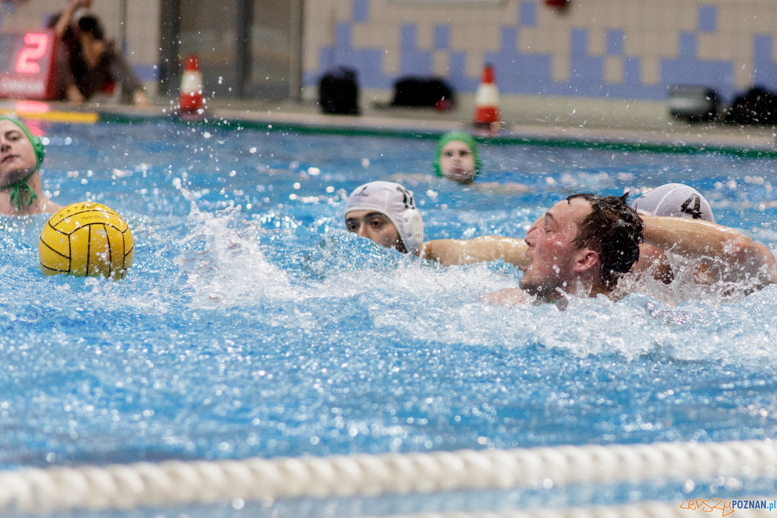 KS Waterpolo Poznań - Legia Warszawa Foto: lepszyPOZNAN.pl / Ewelina Jaśkowiak KS Waterpolo Poznań - Legia Warszawa Foto: lepszyPOZNAN.pl / Ewelina Jaśkowiak