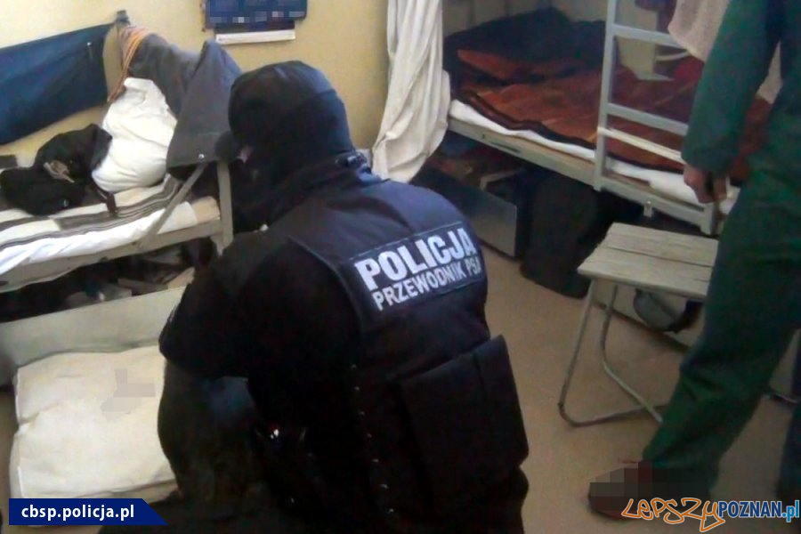 Narkotyki w ZK - akcja policji (4) Foto: materiały Policji Narkotyki w ZK - akcja policji (4) Foto: materiały Policji