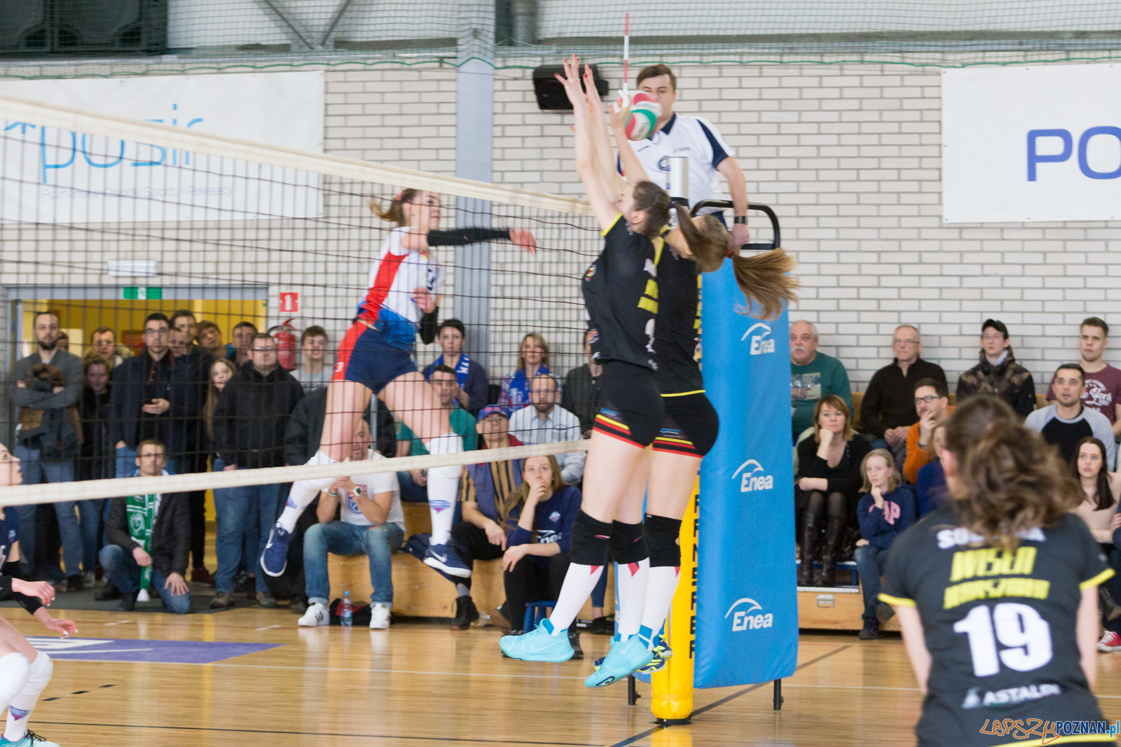 Enea Energetyk Poznań - Wisła Warszawa Foto: lepszyPOZNAN.pl/Piotr Rychter Enea Energetyk Poznań - Wisła Warszawa Foto: lepszyPOZNAN.pl/Piotr Rychter