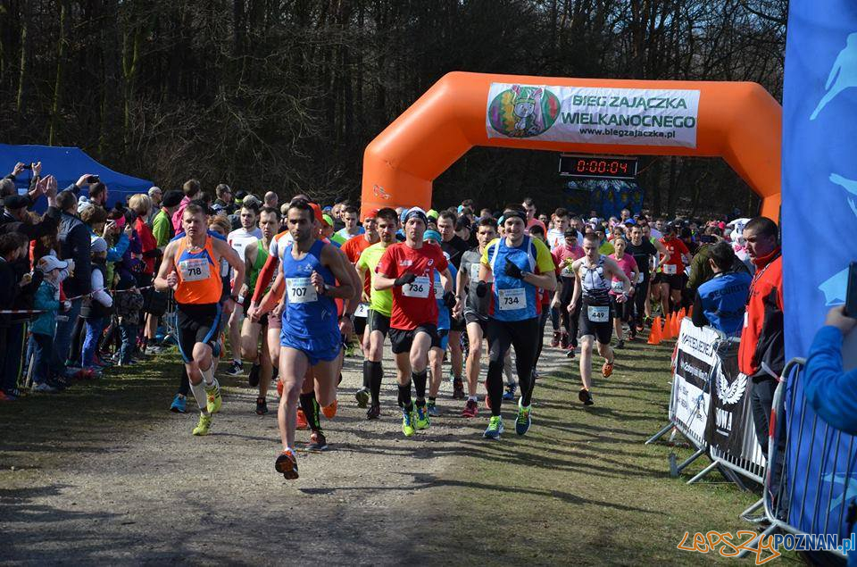 Bieg Zajaczka Wielkanocnego Foto: T. Szwajkowski / materiały prasowe Bieg Zajaczka Wielkanocnego Foto: T. Szwajkowski / materiały prasowe