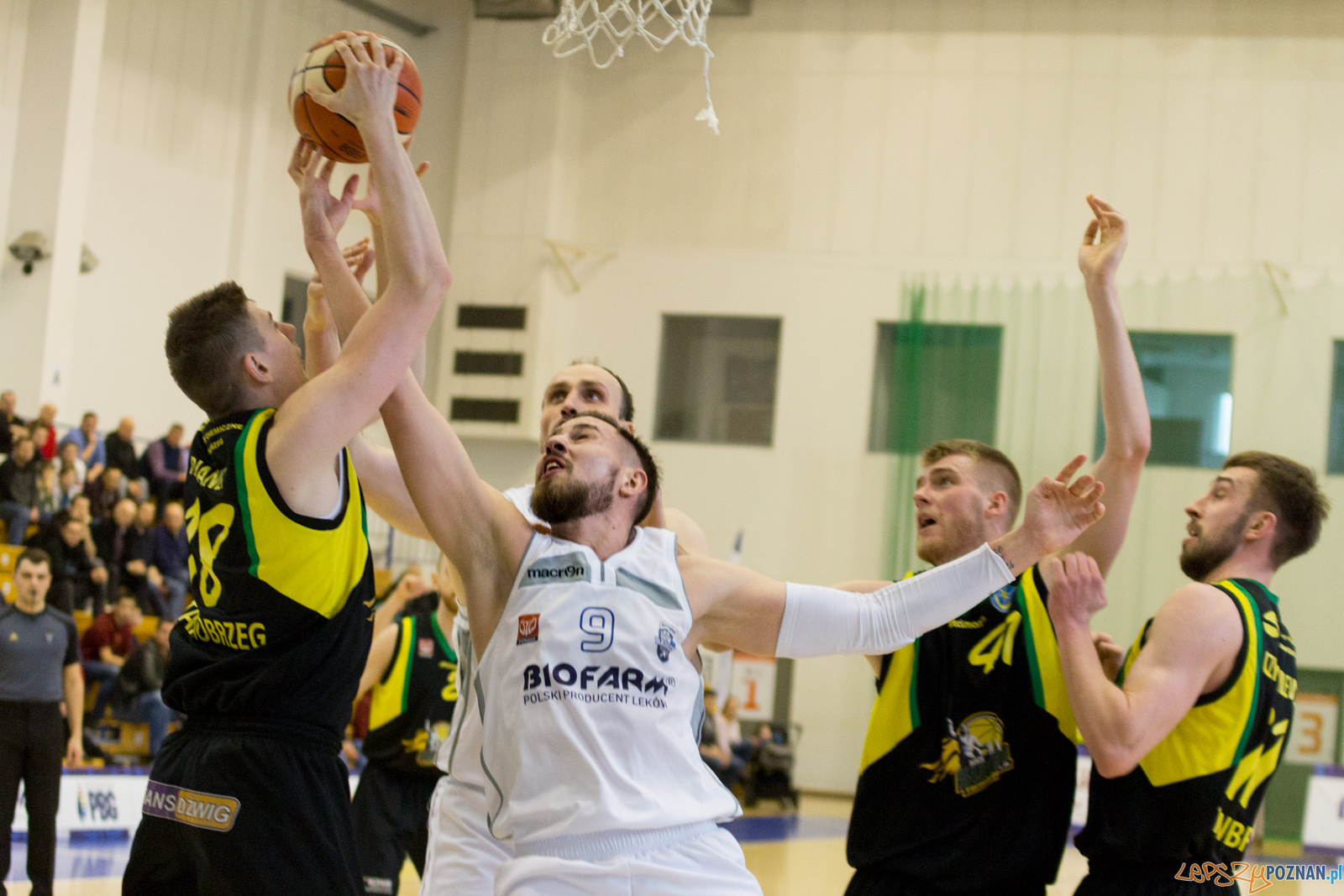 Biofarm Basket Poznań - Siarka Tarnobrzeg Foto: lepszyPOZNAN.pl / Ewelina Jaśkowiak Biofarm Basket Poznań - Siarka Tarnobrzeg Foto: lepszyPOZNAN.pl / Ewelina Jaśkowiak