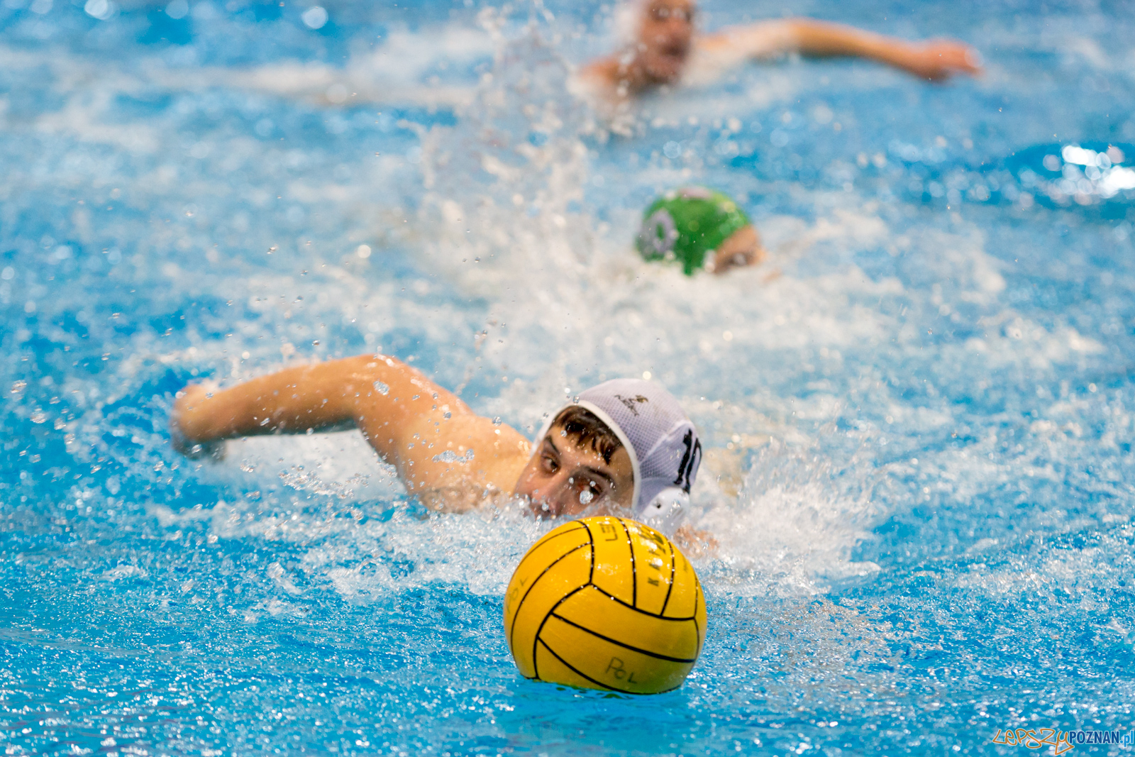 lepszy-24_03_2018_waterpolo_legia-1125 Foto: lepszyPOZNAN.pl/Piotr Rychter lepszy-24_03_2018_waterpolo_legia-1125 Foto: lepszyPOZNAN.pl/Piotr Rychter