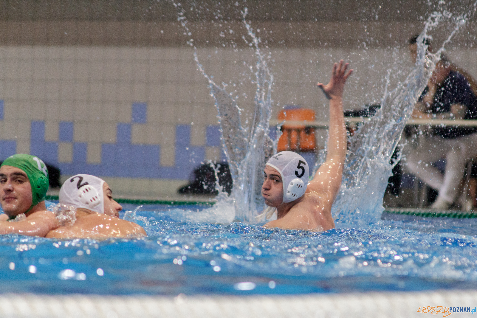 KS Waterpolo Poznań - Legia Warszawa Foto: lepszyPOZNAN.pl / Ewelina Jaśkowiak KS Waterpolo Poznań - Legia Warszawa Foto: lepszyPOZNAN.pl / Ewelina Jaśkowiak