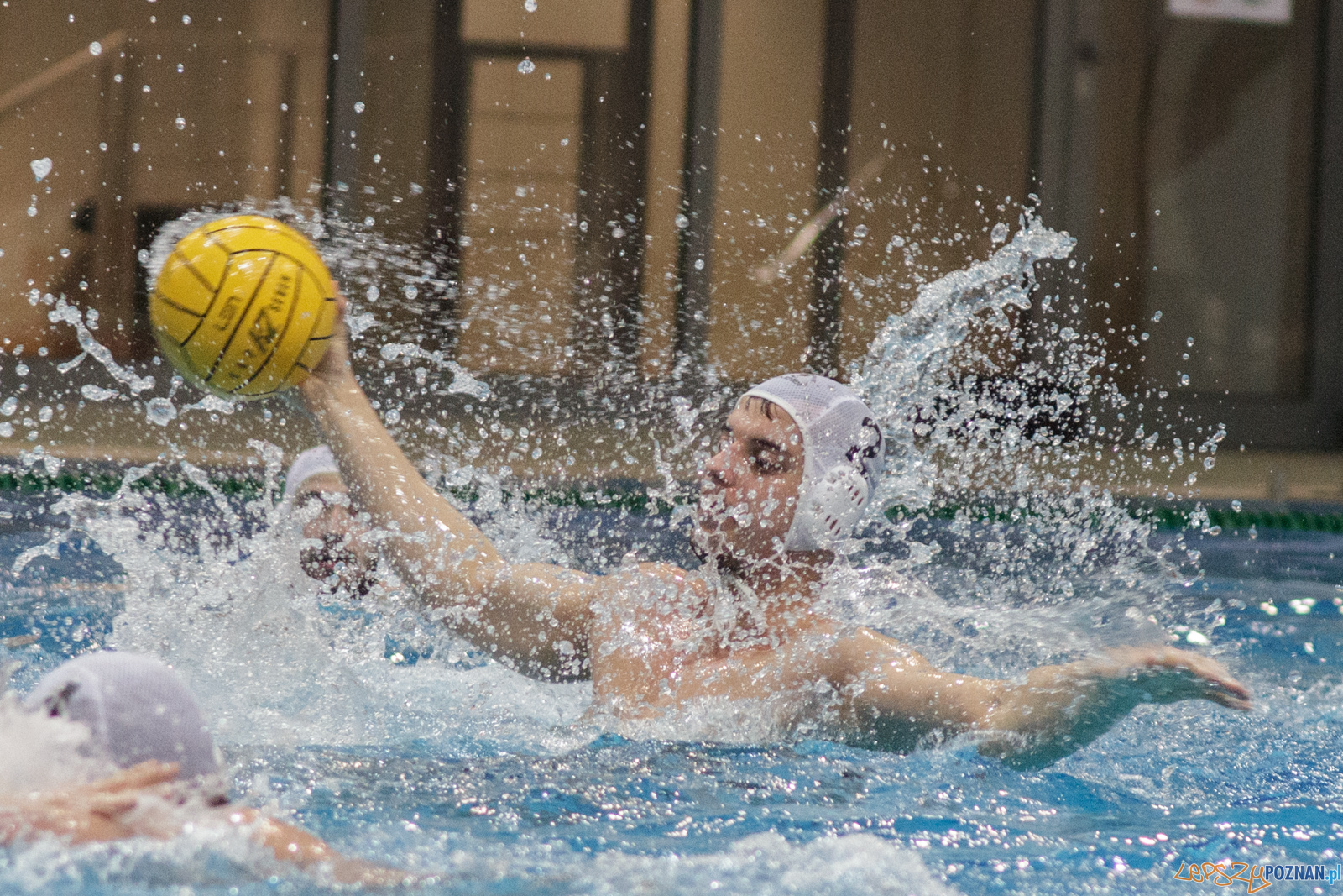 KS Waterpolo Poznań - Legia Warszawa Foto: lepszyPOZNAN.pl / Ewelina Jaśkowiak KS Waterpolo Poznań - Legia Warszawa Foto: lepszyPOZNAN.pl / Ewelina Jaśkowiak