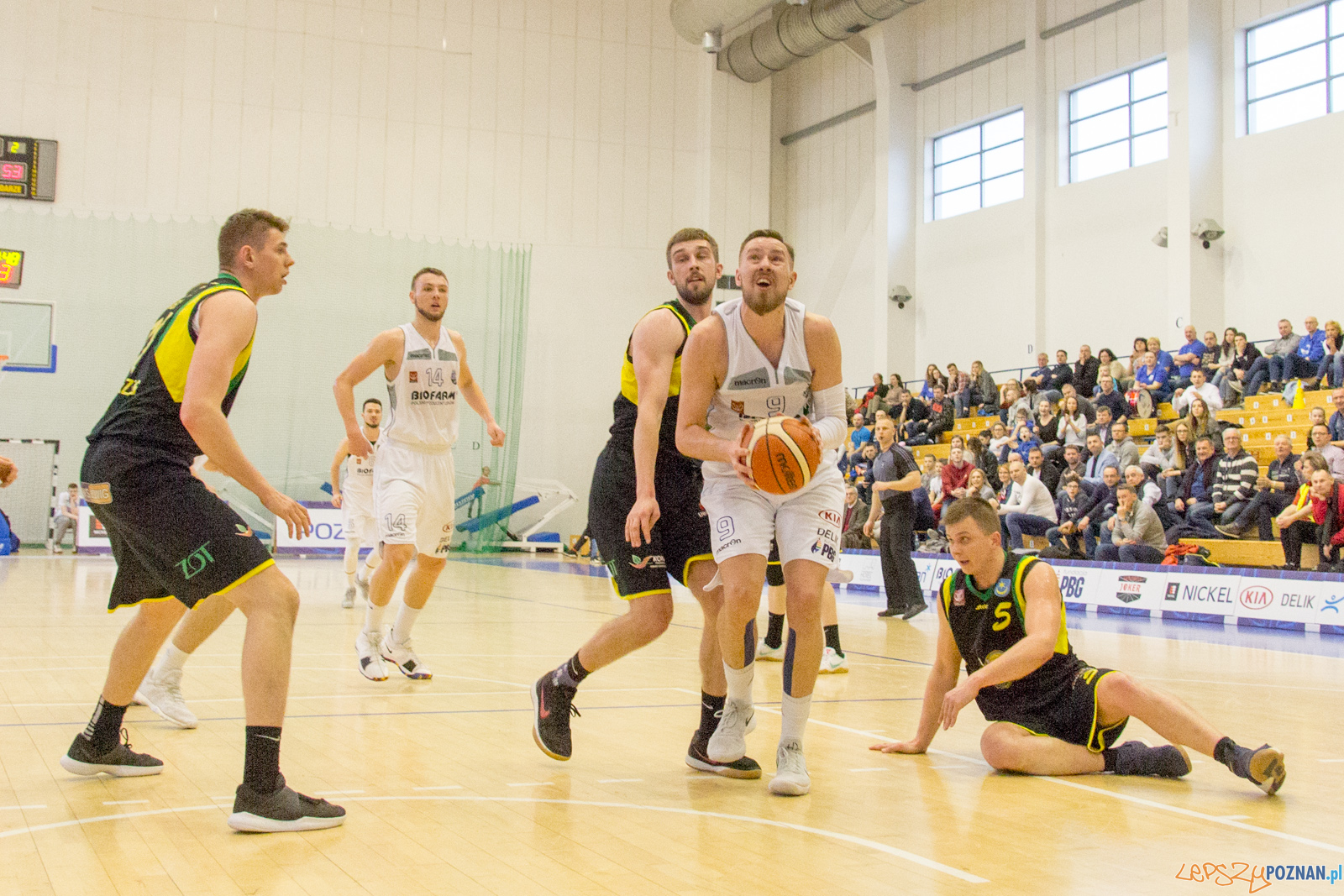 Biofarm Basket Poznań - Siarka Tarnobrzeg Foto: lepszyPOZNAN.pl / Ewelina Jaśkowiak Biofarm Basket Poznań - Siarka Tarnobrzeg Foto: lepszyPOZNAN.pl / Ewelina Jaśkowiak