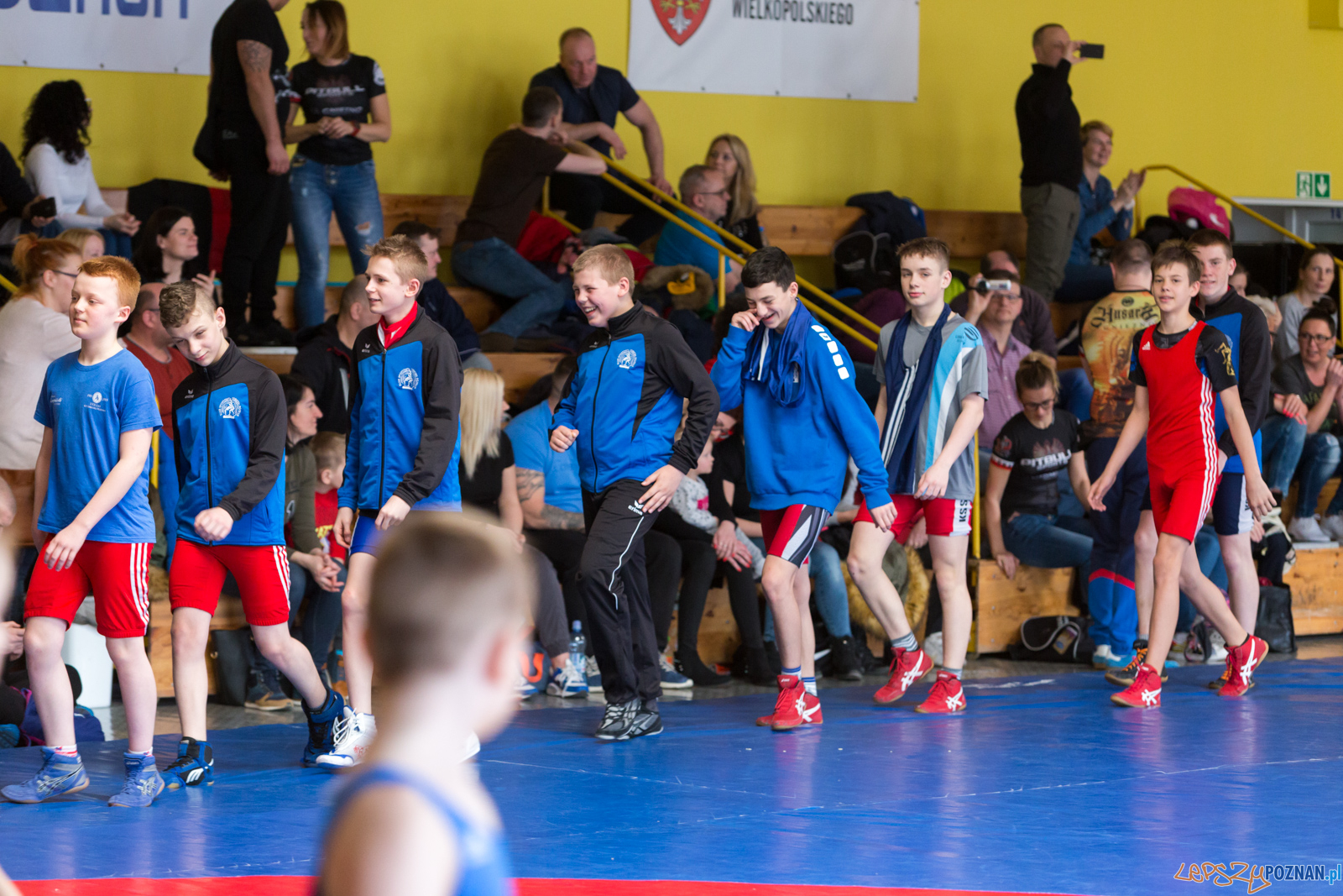 Zapaśniczy Turniej Wielkanocny w KS Sobieski Foto: lepszyPOZNAN.pl/Piotr Rychter Zapaśniczy Turniej Wielkanocny w KS Sobieski Foto: lepszyPOZNAN.pl/Piotr Rychter