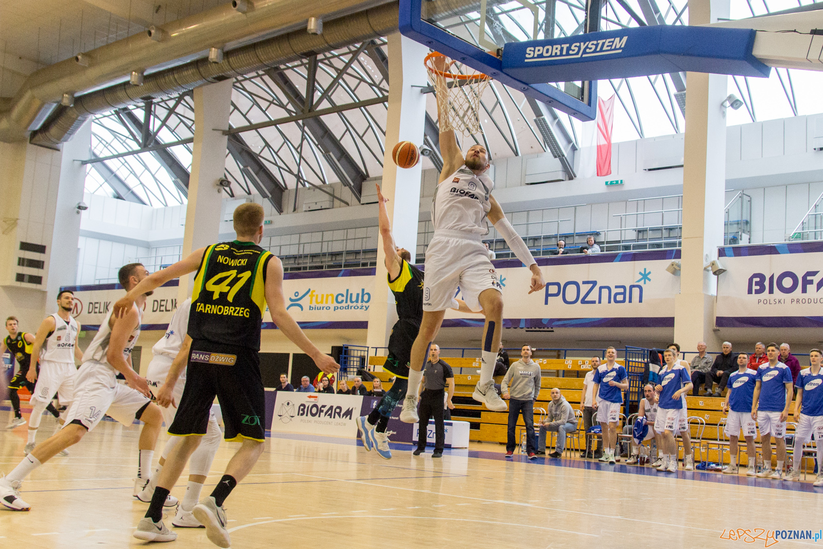 Biofarm Basket Poznań - Siarka Tarnobrzeg Foto: lepszyPOZNAN.pl / Ewelina Jaśkowiak Biofarm Basket Poznań - Siarka Tarnobrzeg Foto: lepszyPOZNAN.pl / Ewelina Jaśkowiak