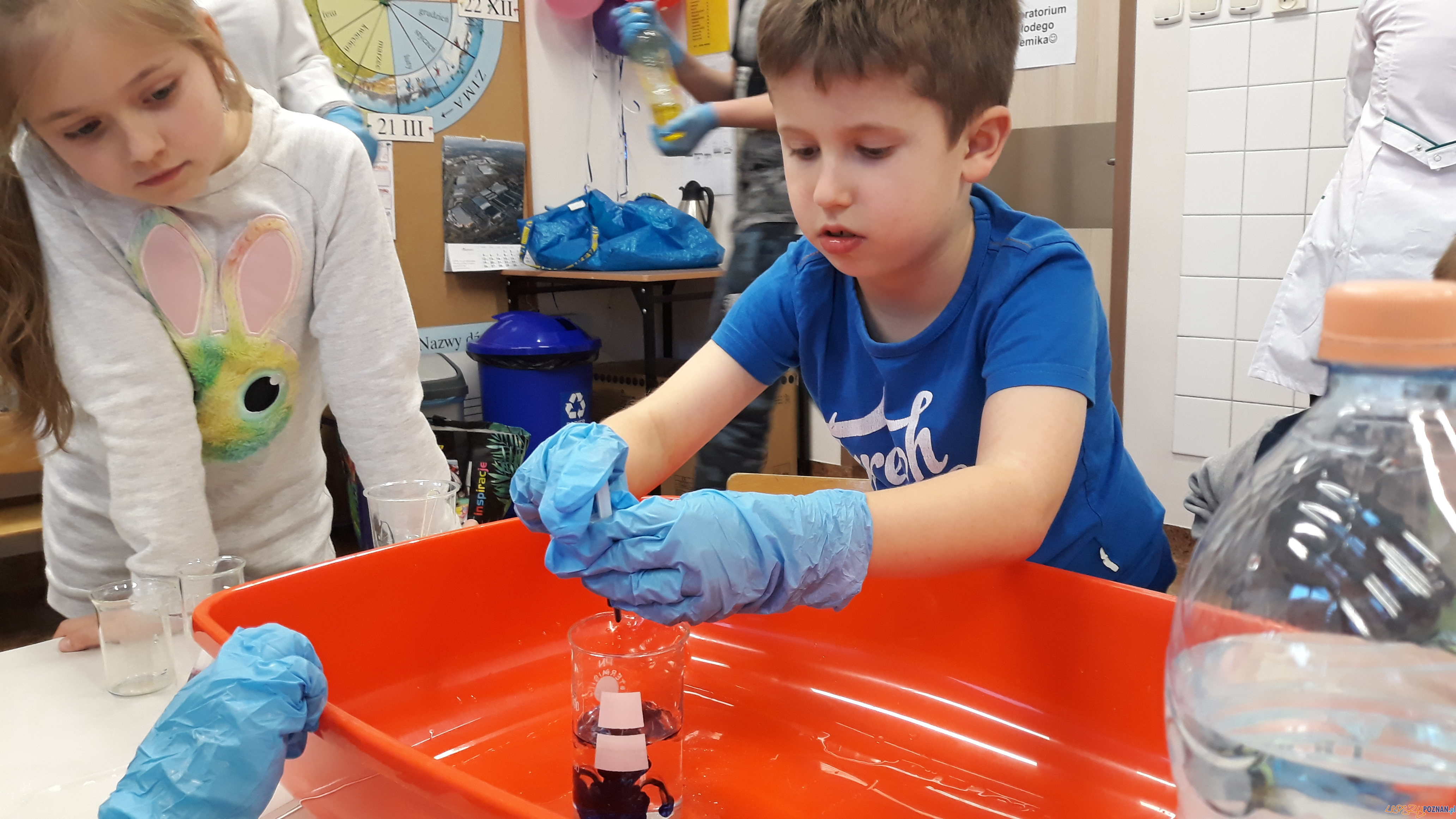 Szkolna noc naukowców Foto: lepszyPOZNAN.pl / gsm Szkolna noc naukowców Foto: lepszyPOZNAN.pl / gsm