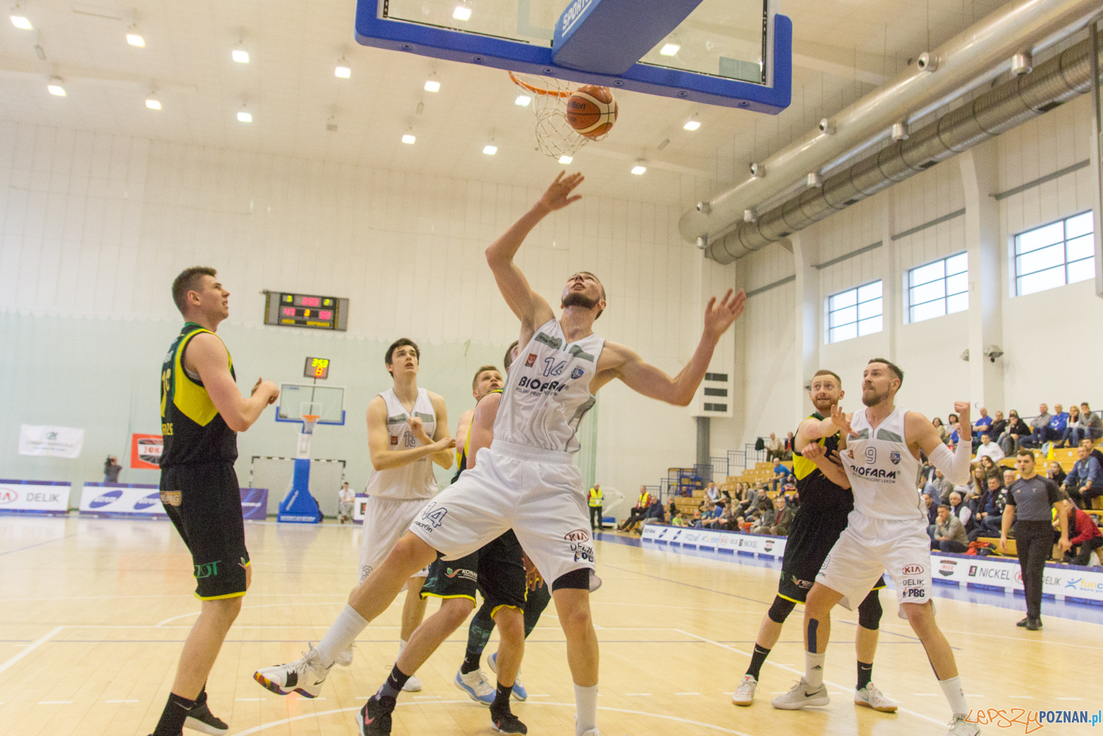 Biofarm Basket Poznań - Siarka Tarnobrzeg Foto: lepszyPOZNAN.pl / Ewelina Jaśkowiak Biofarm Basket Poznań - Siarka Tarnobrzeg Foto: lepszyPOZNAN.pl / Ewelina Jaśkowiak
