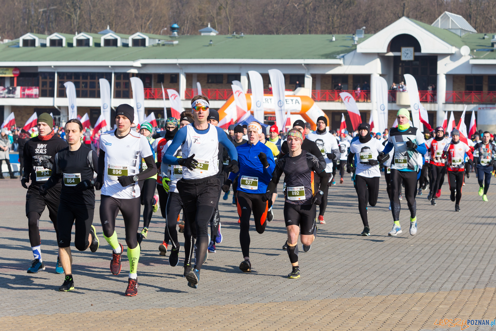 Bieg Tropem Wilczym Foto: lepszyPOZNAN.pl/Piotr Rychter Bieg Tropem Wilczym Foto: lepszyPOZNAN.pl/Piotr Rychter
