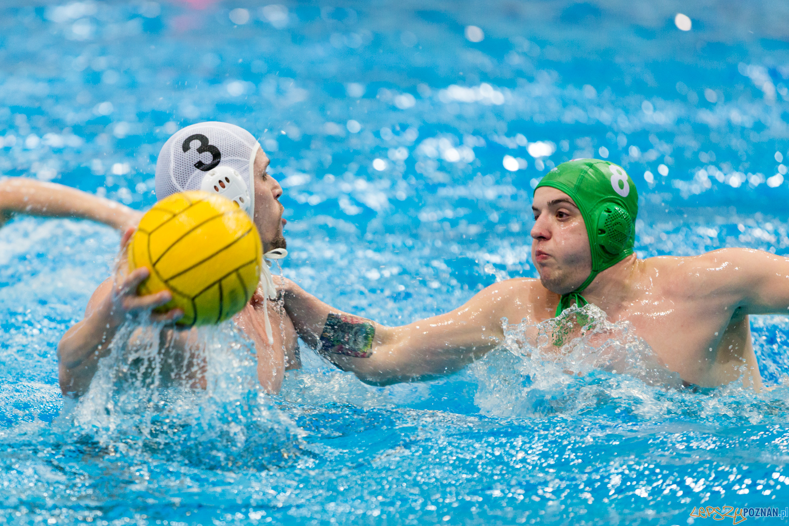 lepszy-24_03_2018_waterpolo_legia-1117 Foto: lepszyPOZNAN.pl/Piotr Rychter lepszy-24_03_2018_waterpolo_legia-1117 Foto: lepszyPOZNAN.pl/Piotr Rychter