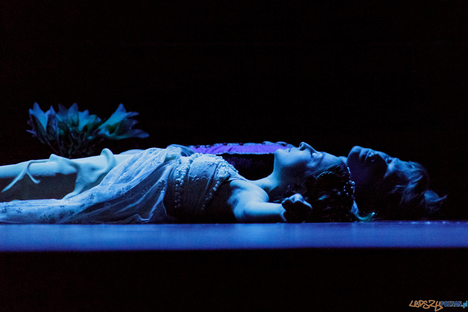 Moscow City Ballet Romeo i Julia Foto: lepszyPOZNAN.pl / Ewelina Jaskowiak Moscow City Ballet Romeo i Julia Foto: lepszyPOZNAN.pl / Ewelina Jaskowiak