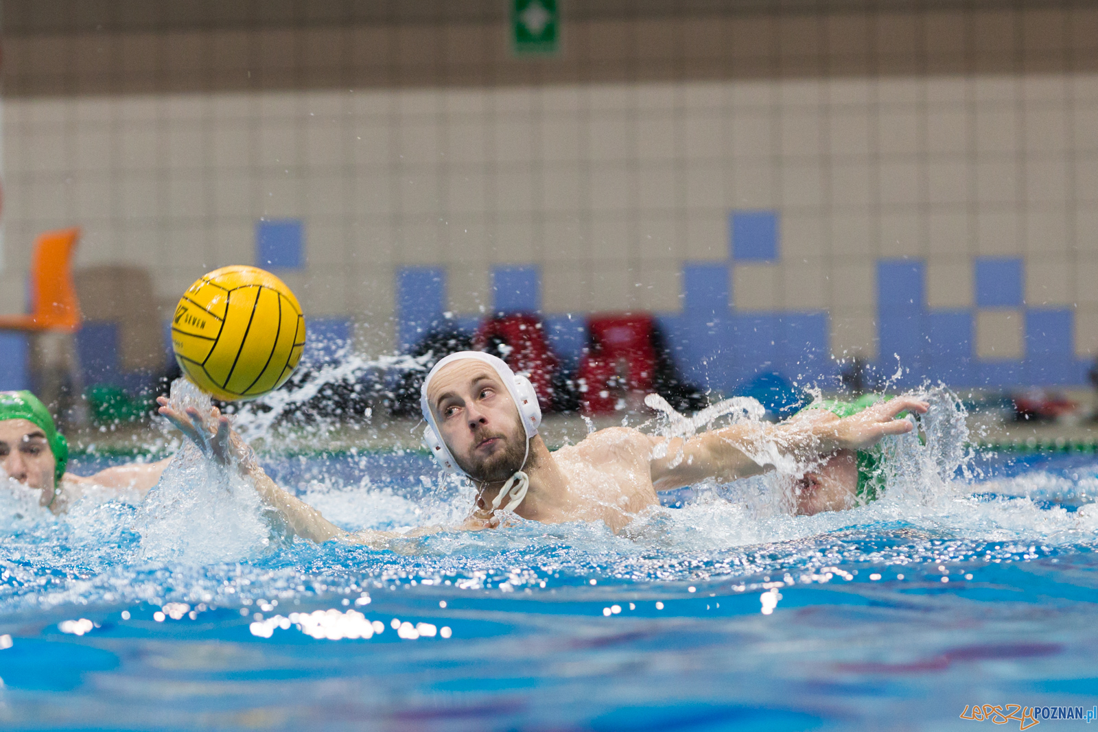 lepszy-24_03_2018_waterpolo_legia-1039 Foto: lepszyPOZNAN.pl/Piotr Rychter lepszy-24_03_2018_waterpolo_legia-1039 Foto: lepszyPOZNAN.pl/Piotr Rychter