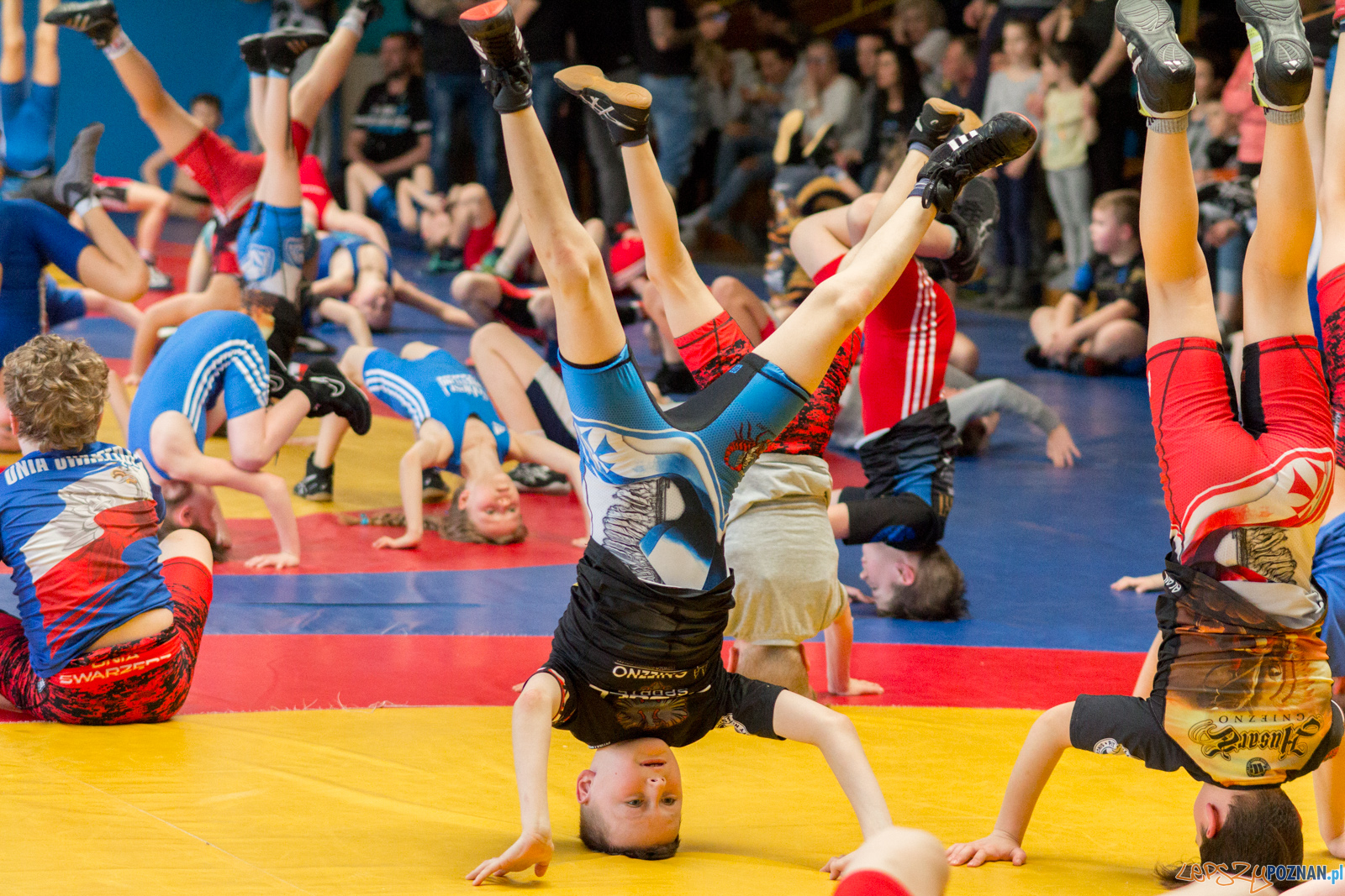 Zapaśniczy Turniej Wielkanocny Foto: lepszyPOZNAN.pl / Ewelina Jaśkowiak Zapaśniczy Turniej Wielkanocny Foto: lepszyPOZNAN.pl / Ewelina Jaśkowiak