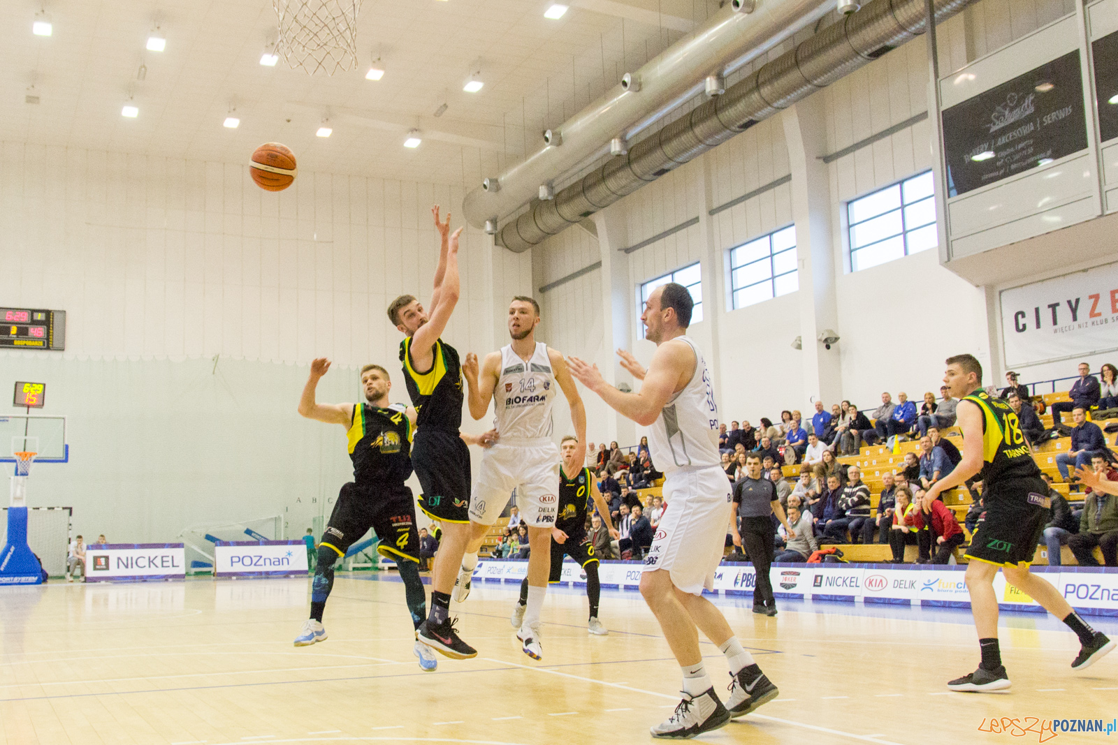 Biofarm Basket Poznań - Siarka Tarnobrzeg Foto: lepszyPOZNAN.pl / Ewelina Jaśkowiak Biofarm Basket Poznań - Siarka Tarnobrzeg Foto: lepszyPOZNAN.pl / Ewelina Jaśkowiak