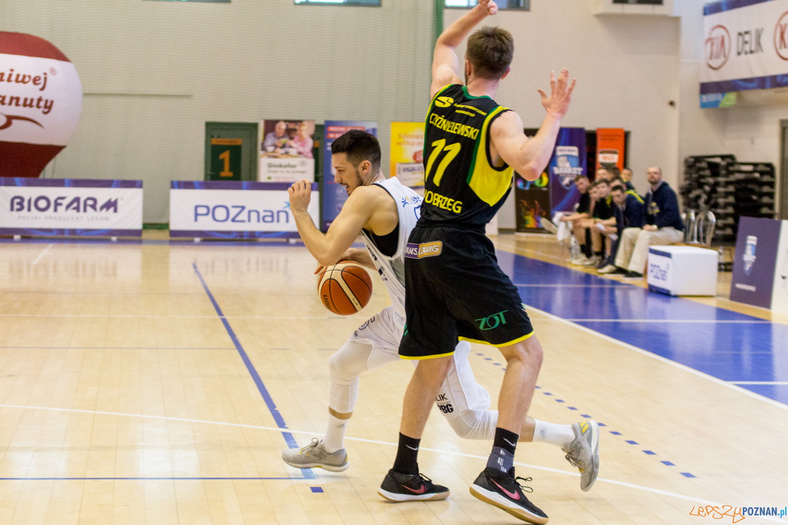 Biofarm Basket Poznań - Siarka Tarnobrzeg Foto: lepszyPOZNAN.pl / Ewelina Jaśkowiak Biofarm Basket Poznań - Siarka Tarnobrzeg Foto: lepszyPOZNAN.pl / Ewelina Jaśkowiak