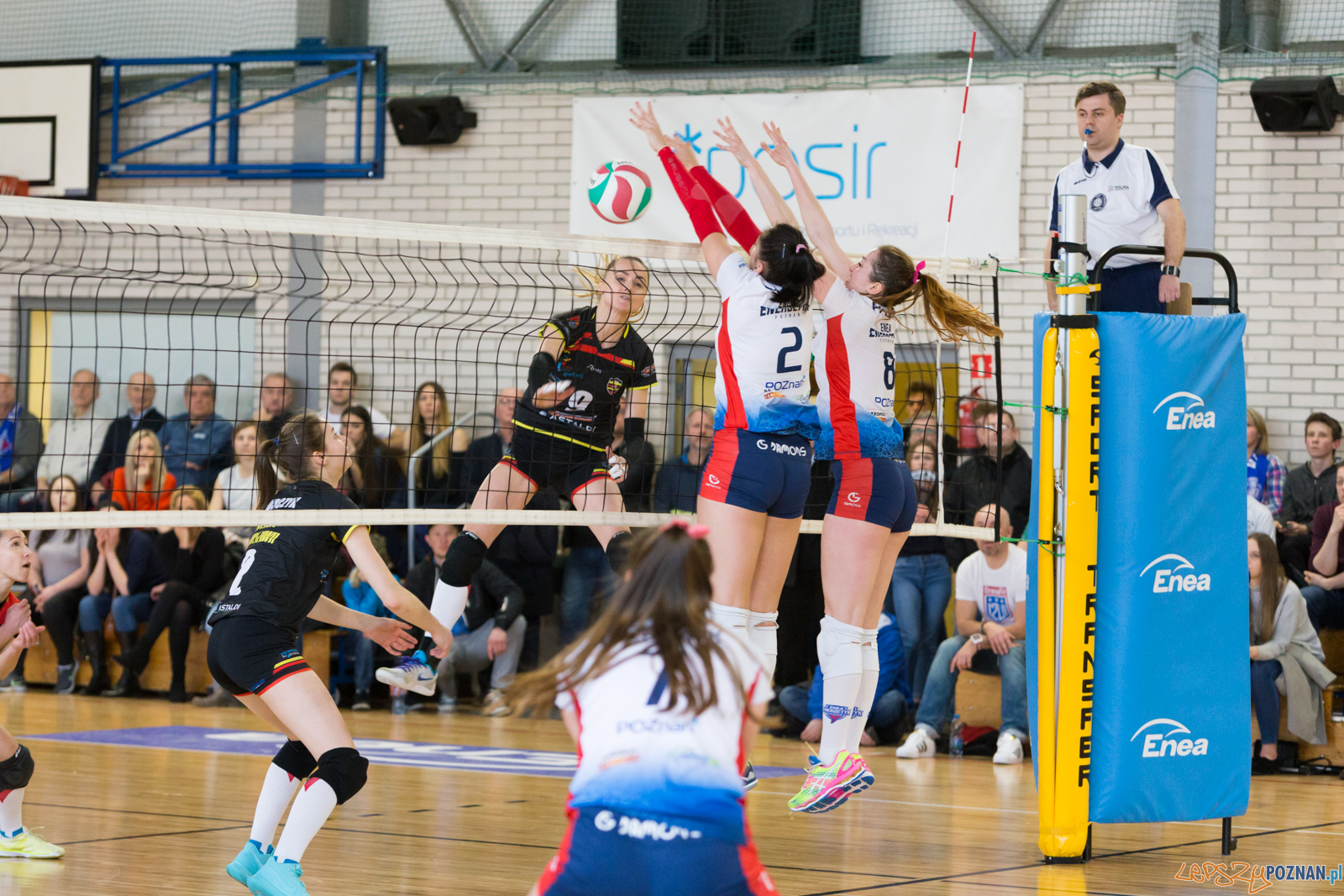 Enea Energetyk Poznań - Wisła Warszawa Foto: lepszyPOZNAN.pl/Piotr Rychter Enea Energetyk Poznań - Wisła Warszawa Foto: lepszyPOZNAN.pl/Piotr Rychter