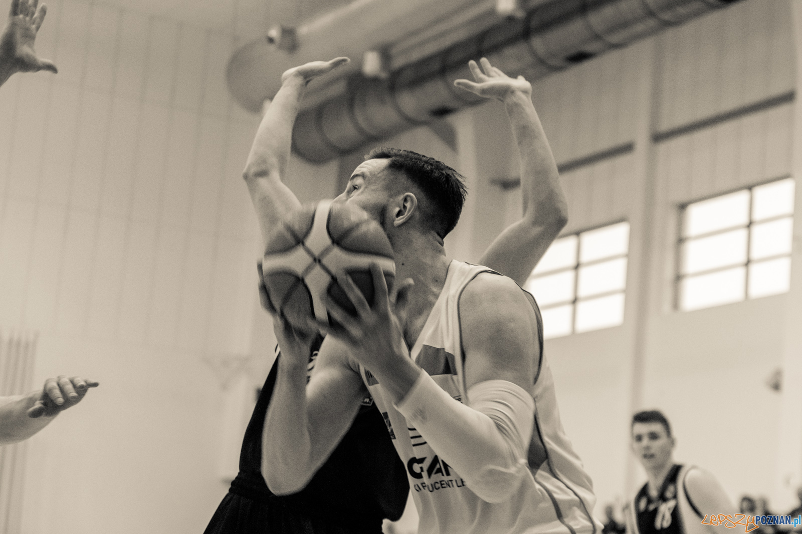 Biofarm Basket Poznań - Siarka Tarnobrzeg Foto: lepszyPOZNAN.pl / Ewelina Jaśkowiak Biofarm Basket Poznań - Siarka Tarnobrzeg Foto: lepszyPOZNAN.pl / Ewelina Jaśkowiak