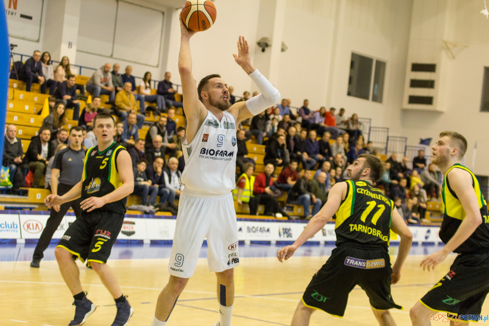 Biofarm Basket Poznań - Siarka Tarnobrzeg Foto: lepszyPOZNAN.pl / Ewelina Jaśkowiak Biofarm Basket Poznań - Siarka Tarnobrzeg Foto: lepszyPOZNAN.pl / Ewelina Jaśkowiak