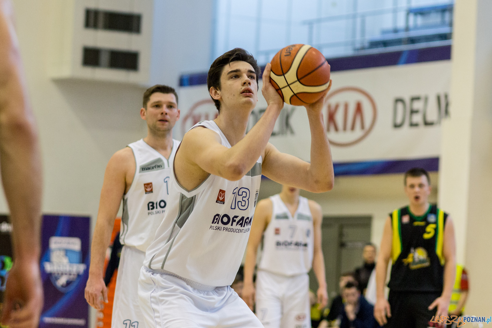 Biofarm Basket Poznań - Siarka Tarnobrzeg Foto: lepszyPOZNAN.pl / Ewelina Jaśkowiak Biofarm Basket Poznań - Siarka Tarnobrzeg Foto: lepszyPOZNAN.pl / Ewelina Jaśkowiak