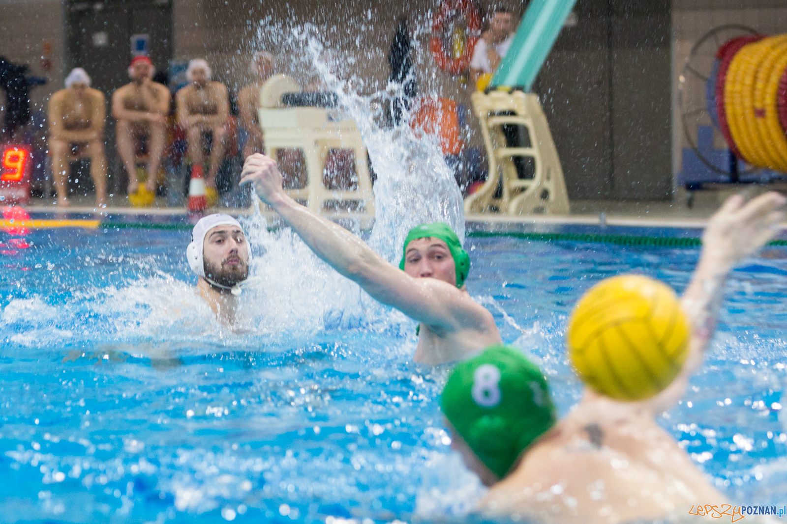lepszy-24_03_2018_waterpolo_legia-1052 Foto: lepszyPOZNAN.pl/Piotr Rychter lepszy-24_03_2018_waterpolo_legia-1052 Foto: lepszyPOZNAN.pl/Piotr Rychter