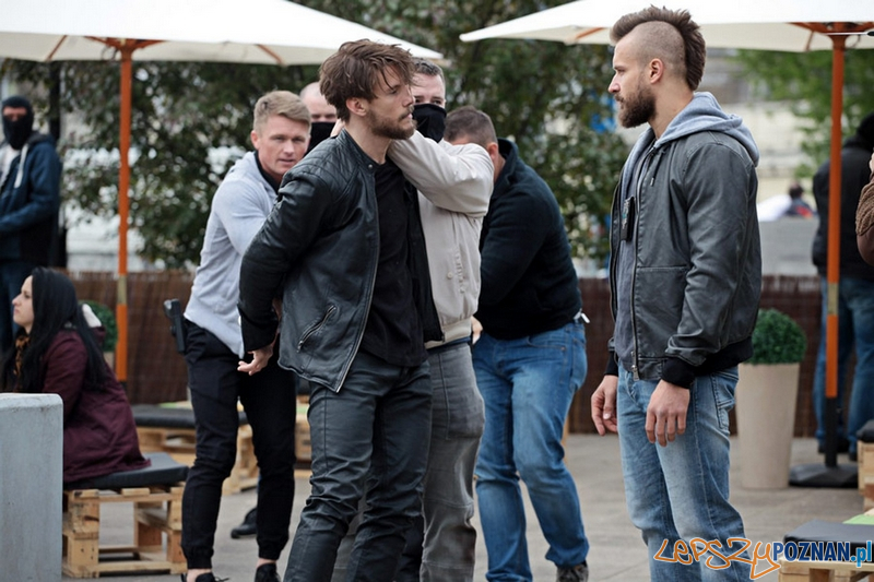 pitbull3_03 Foto: pitbull3_03 Foto: