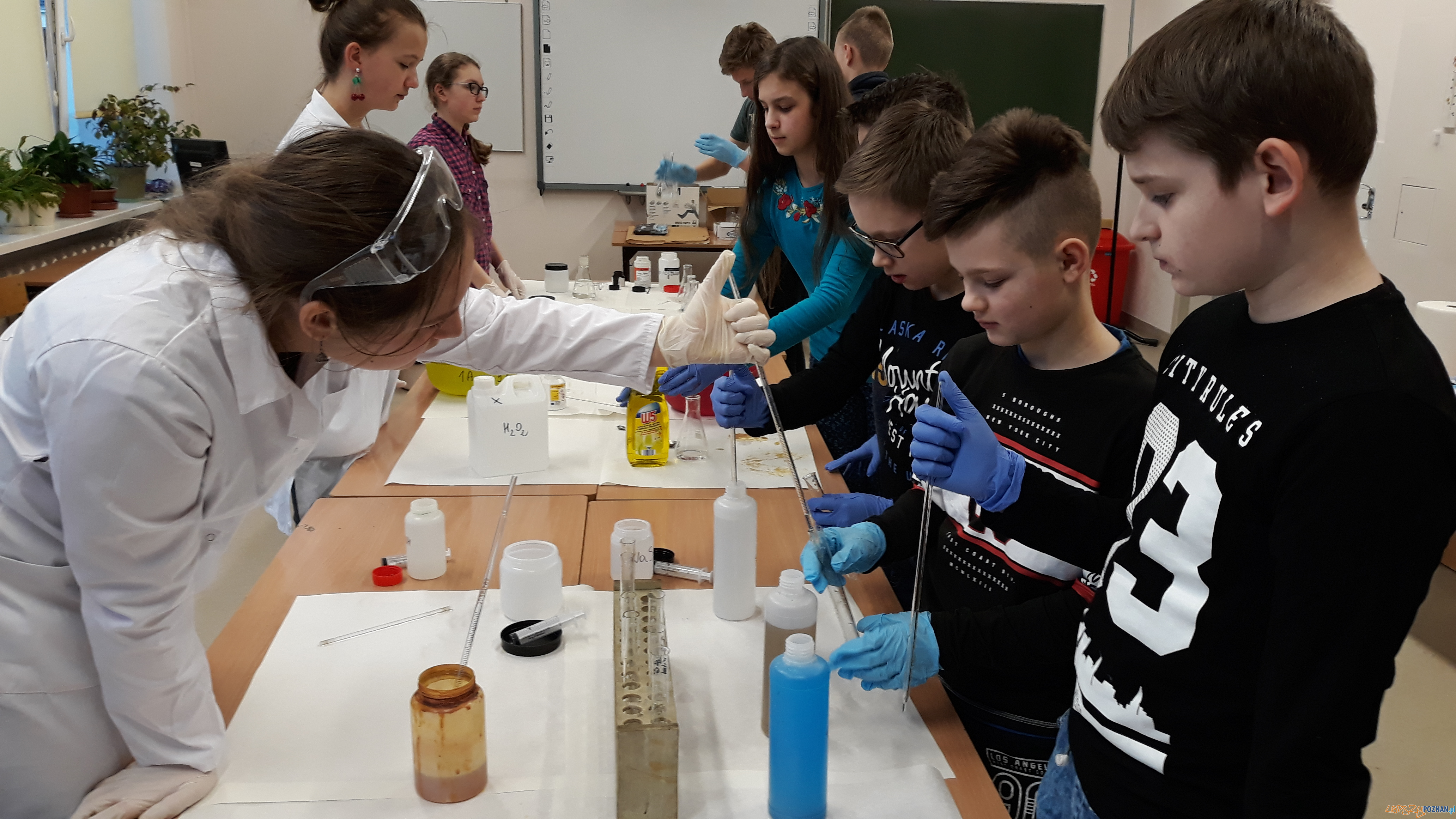 Szkolna noc naukowców Foto: lepszyPOZNAN.pl / gsm Szkolna noc naukowców Foto: lepszyPOZNAN.pl / gsm