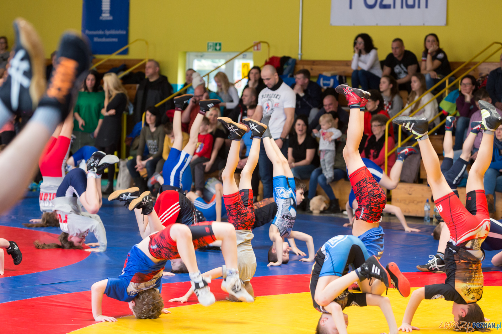 Zapaśniczy Turniej Wielkanocny w KS Sobieski Foto: lepszyPOZNAN.pl/Piotr Rychter Zapaśniczy Turniej Wielkanocny w KS Sobieski Foto: lepszyPOZNAN.pl/Piotr Rychter