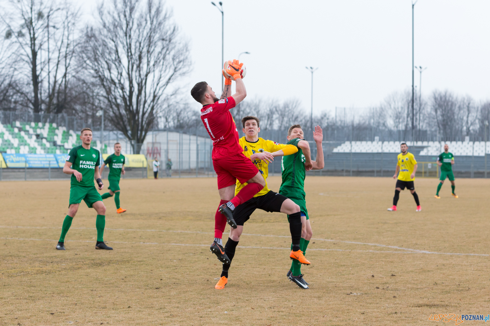 Warta Poznań - Gryf Wejherowo Foto: lepszyPOZNAN.pl/Piotr Rychter Warta Poznań - Gryf Wejherowo Foto: lepszyPOZNAN.pl/Piotr Rychter