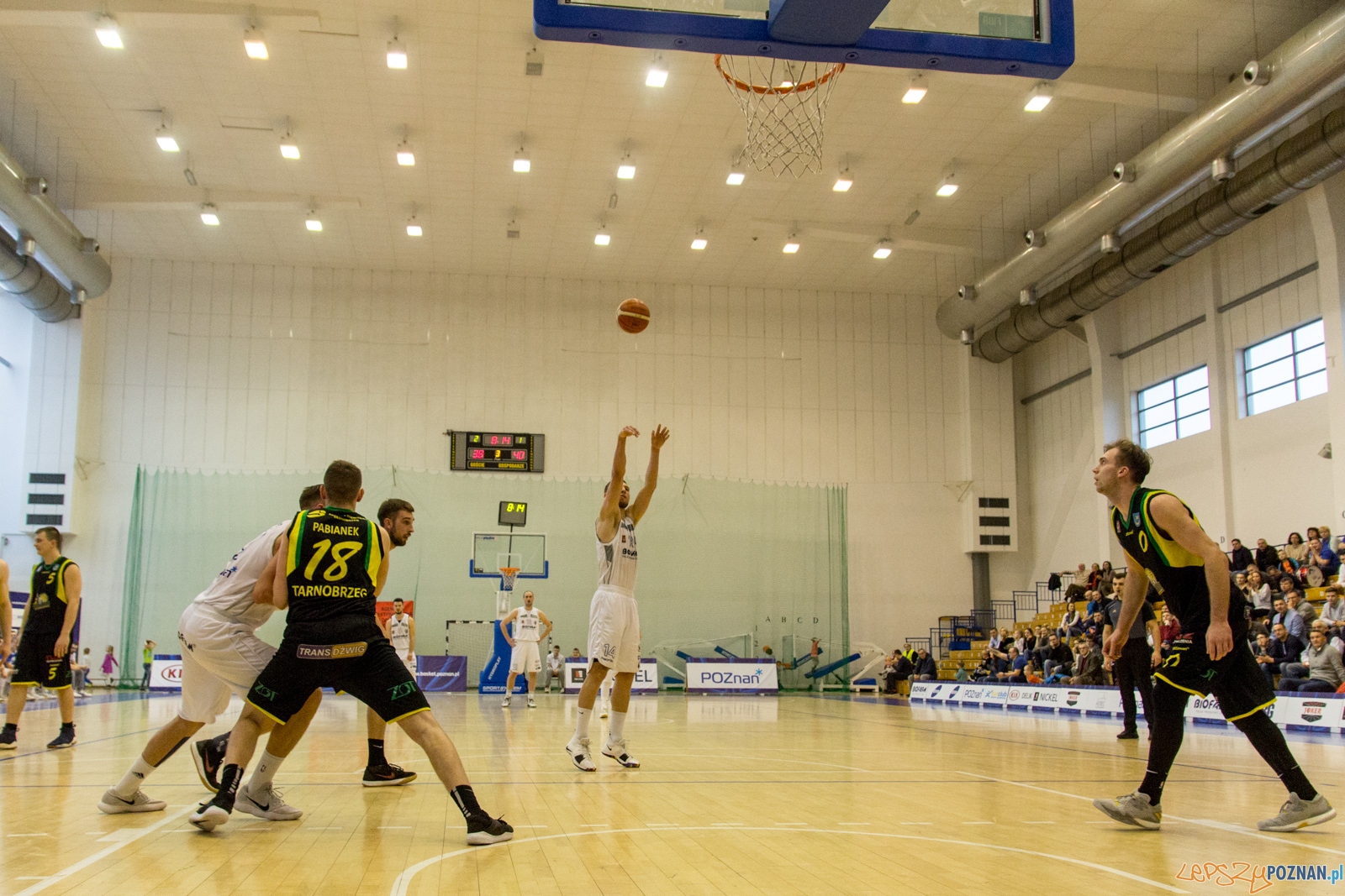 Biofarm Basket Poznań - Siarka Tarnobrzeg Foto: lepszyPOZNAN.pl / Ewelina Jaśkowiak Biofarm Basket Poznań - Siarka Tarnobrzeg Foto: lepszyPOZNAN.pl / Ewelina Jaśkowiak