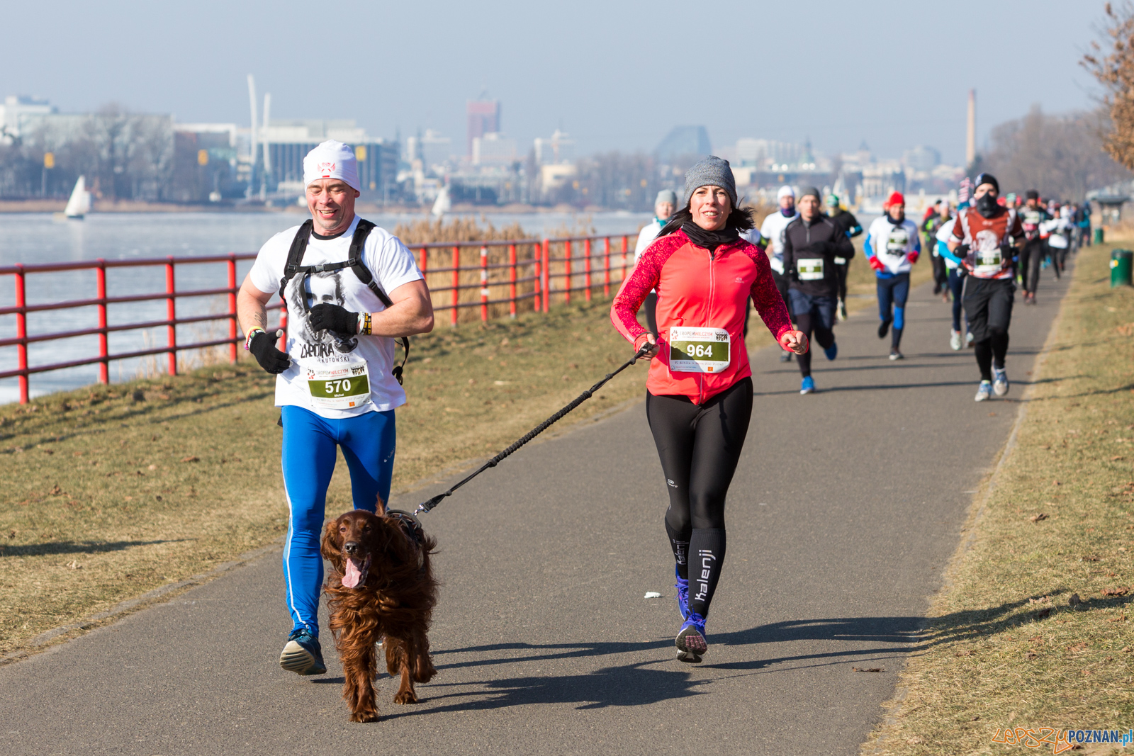 Bieg Tropem Wilczym Foto: lepszyPOZNAN.pl/Piotr Rychter Bieg Tropem Wilczym Foto: lepszyPOZNAN.pl/Piotr Rychter