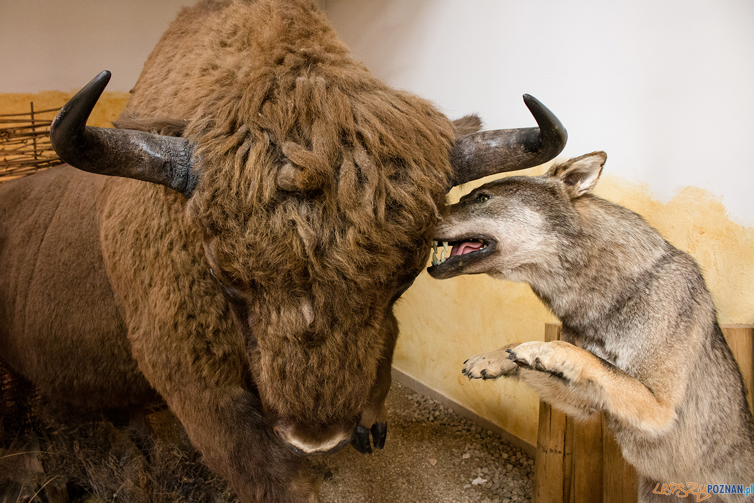 Artur_Kucharczak_Tanatoza - FOTSPOTKANIE - FOTSPOT Foto: materiały prasowe Artur_Kucharczak_Tanatoza - FOTSPOTKANIE - FOTSPOT Foto: materiały prasowe