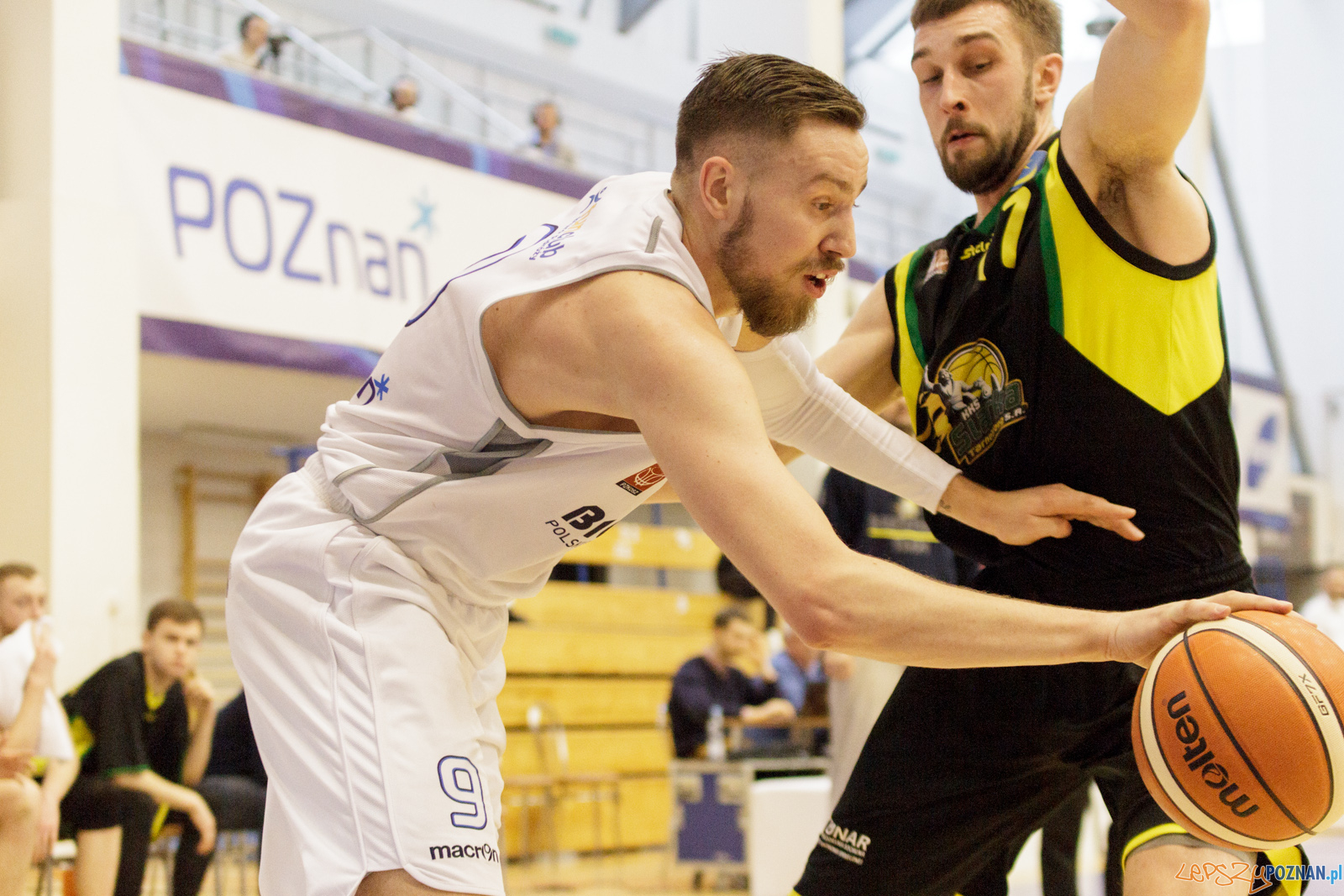 Biofarm Basket Poznań - Siarka Tarnobrzeg Foto: lepszyPOZNAN.pl / Ewelina Jaśkowiak Biofarm Basket Poznań - Siarka Tarnobrzeg Foto: lepszyPOZNAN.pl / Ewelina Jaśkowiak