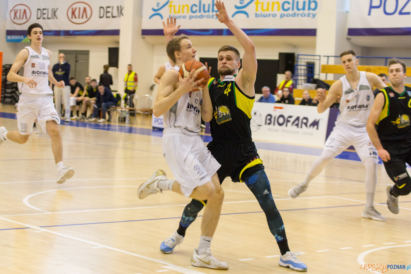 Biofarm Basket Poznań - Siarka Tarnobrzeg Foto: lepszyPOZNAN.pl / Ewelina Jaśkowiak Biofarm Basket Poznań - Siarka Tarnobrzeg Foto: lepszyPOZNAN.pl / Ewelina Jaśkowiak