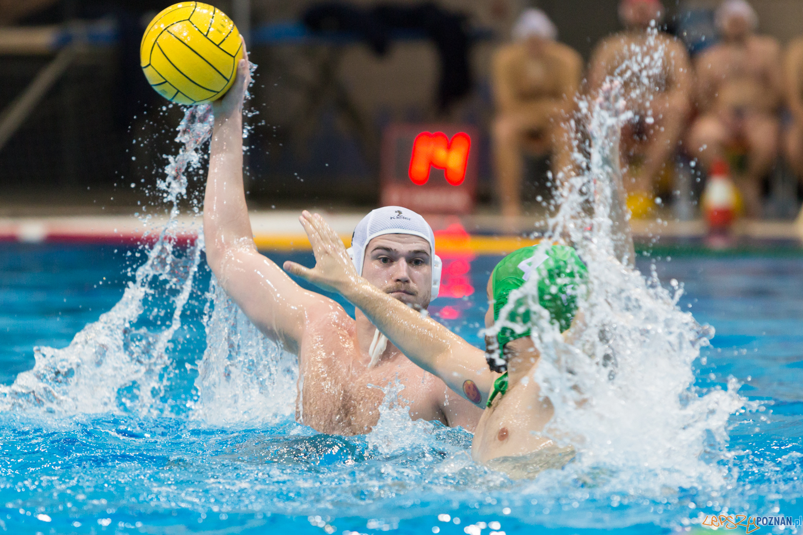 lepszy-24_03_2018_waterpolo_legia-1077 Foto: lepszyPOZNAN.pl/Piotr Rychter lepszy-24_03_2018_waterpolo_legia-1077 Foto: lepszyPOZNAN.pl/Piotr Rychter
