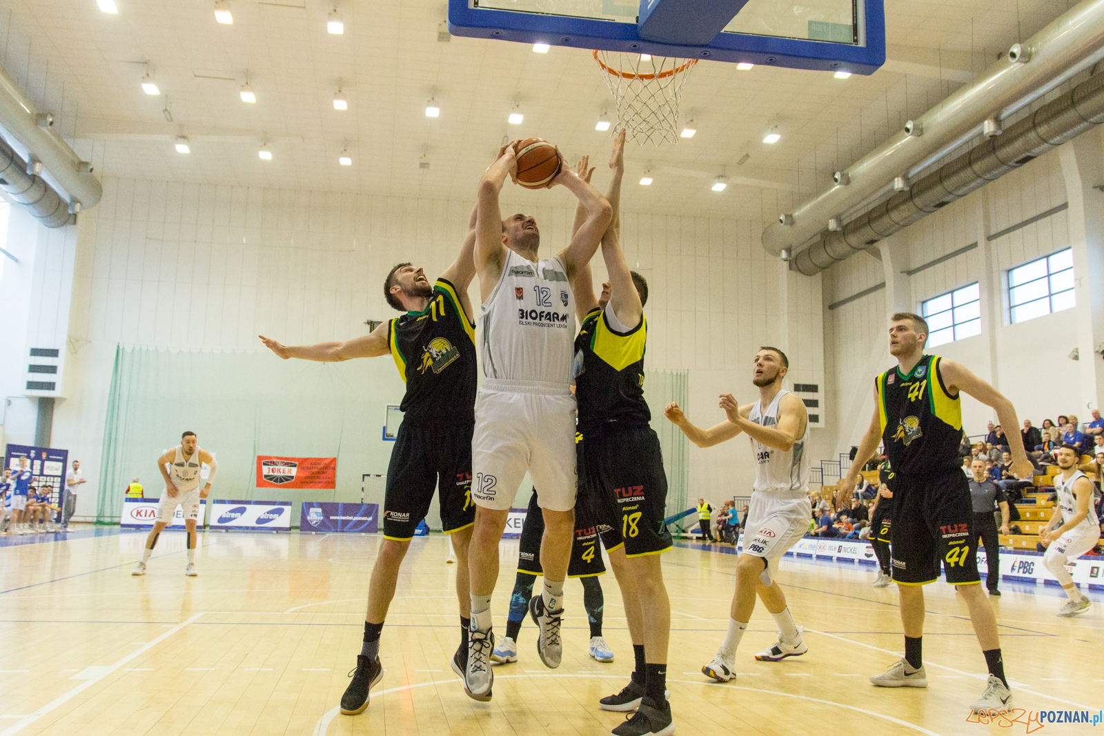 Biofarm Basket Poznań - Siarka Tarnobrzeg Foto: lepszyPOZNAN.pl / Ewelina Jaśkowiak Biofarm Basket Poznań - Siarka Tarnobrzeg Foto: lepszyPOZNAN.pl / Ewelina Jaśkowiak