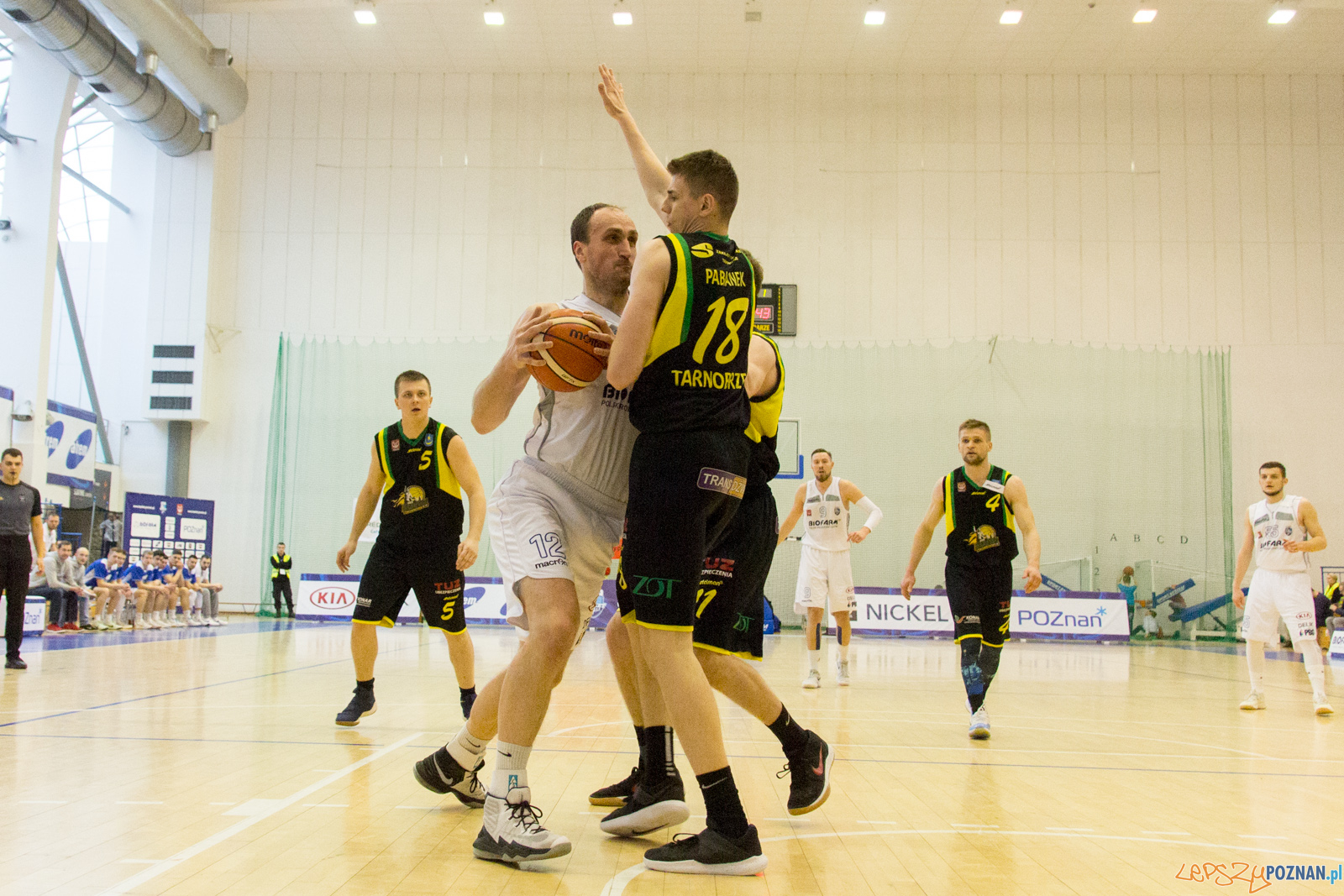 Biofarm Basket Poznań - Siarka Tarnobrzeg Foto: lepszyPOZNAN.pl / Ewelina Jaśkowiak Biofarm Basket Poznań - Siarka Tarnobrzeg Foto: lepszyPOZNAN.pl / Ewelina Jaśkowiak