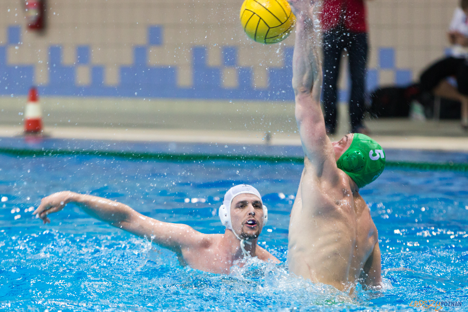 lepszy-24_03_2018_waterpolo_legia-1114 Foto: lepszyPOZNAN.pl/Piotr Rychter lepszy-24_03_2018_waterpolo_legia-1114 Foto: lepszyPOZNAN.pl/Piotr Rychter