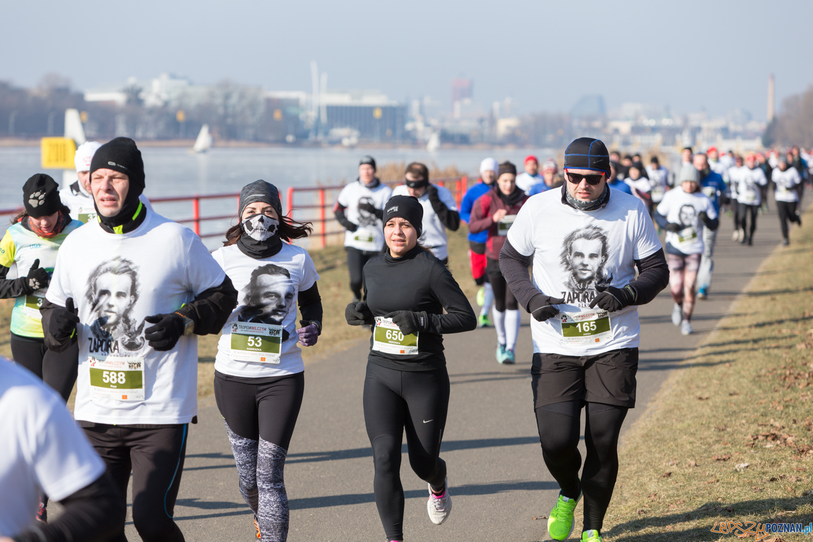 Bieg Tropem Wilczym Foto: lepszyPOZNAN.pl/Piotr Rychter Bieg Tropem Wilczym Foto: lepszyPOZNAN.pl/Piotr Rychter