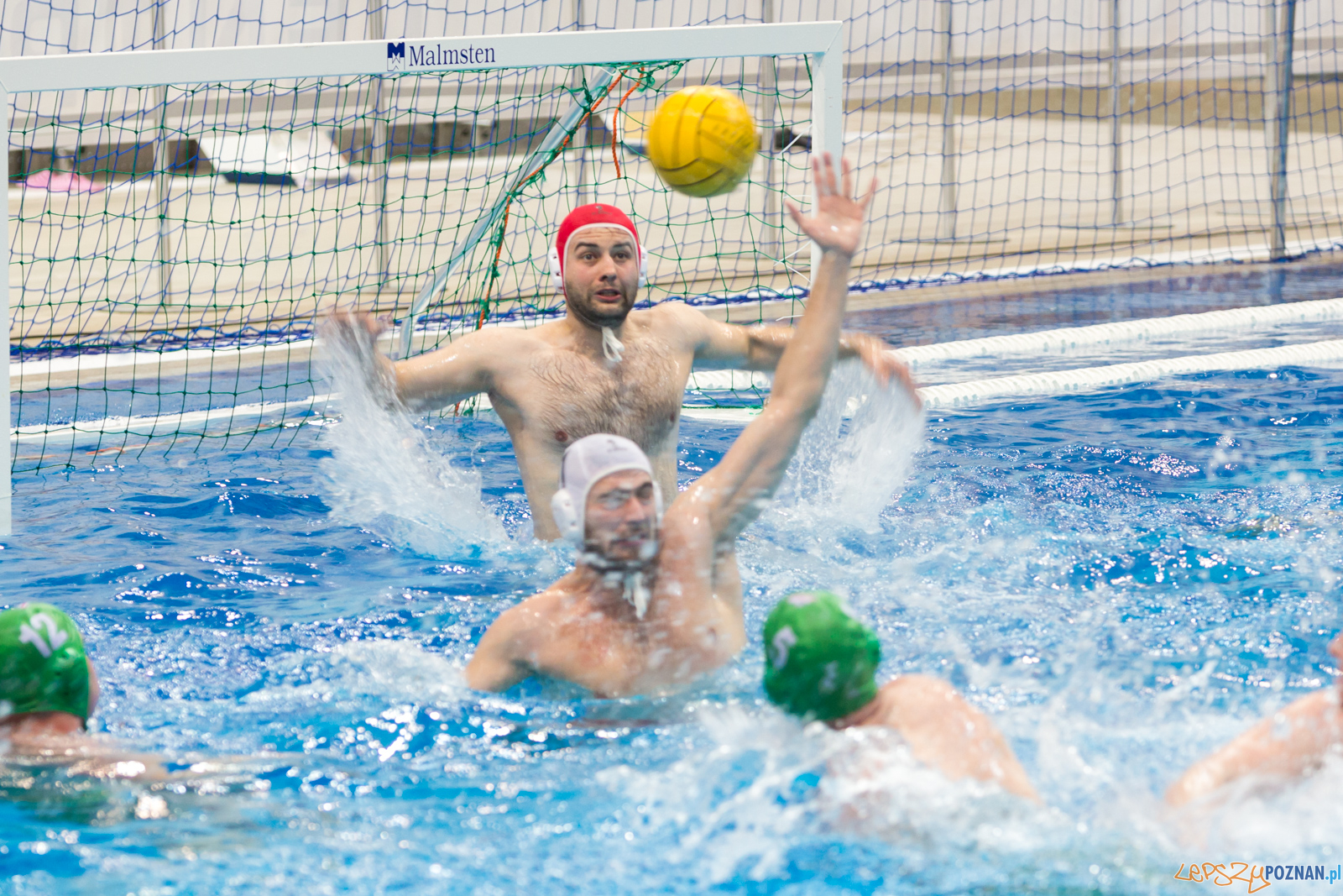 lepszy-24_03_2018_waterpolo_legia-1169 Foto: lepszyPOZNAN.pl/Piotr Rychter lepszy-24_03_2018_waterpolo_legia-1169 Foto: lepszyPOZNAN.pl/Piotr Rychter