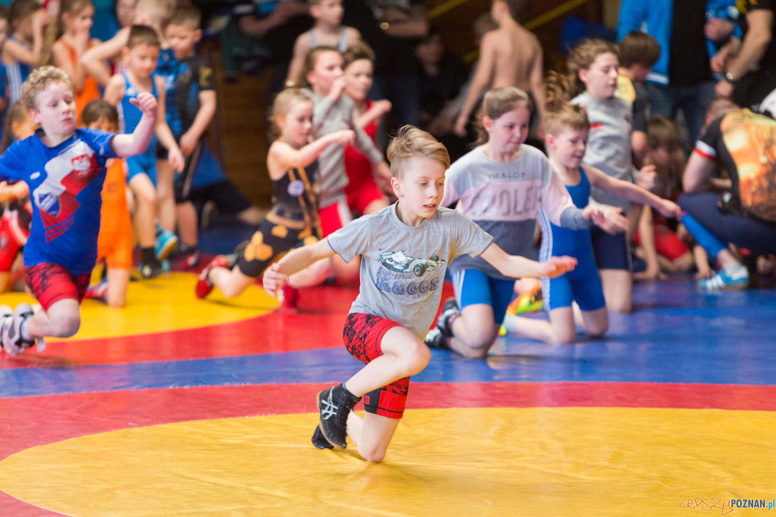 Zapaśniczy Turniej Wielkanocny w KS Sobieski Foto: lepszyPOZNAN.pl/Piotr Rychter Zapaśniczy Turniej Wielkanocny w KS Sobieski Foto: lepszyPOZNAN.pl/Piotr Rychter