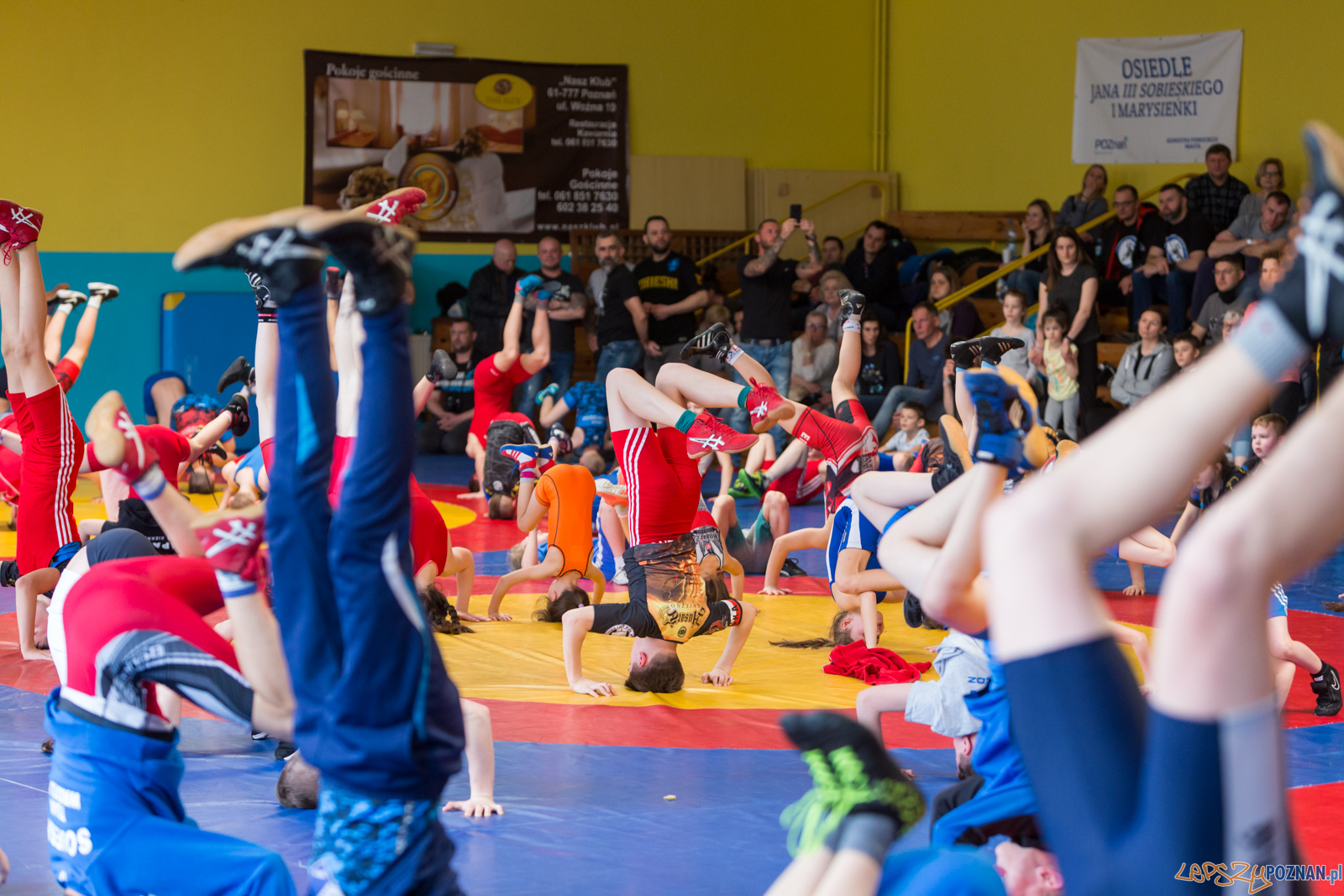 Zapaśniczy Turniej Wielkanocny w KS Sobieski Foto: lepszyPOZNAN.pl/Piotr Rychter Zapaśniczy Turniej Wielkanocny w KS Sobieski Foto: lepszyPOZNAN.pl/Piotr Rychter