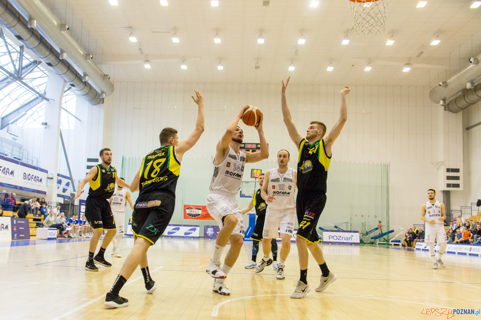 Biofarm Basket Poznań - Siarka Tarnobrzeg Foto: lepszyPOZNAN.pl / Ewelina Jaśkowiak Biofarm Basket Poznań - Siarka Tarnobrzeg Foto: lepszyPOZNAN.pl / Ewelina Jaśkowiak