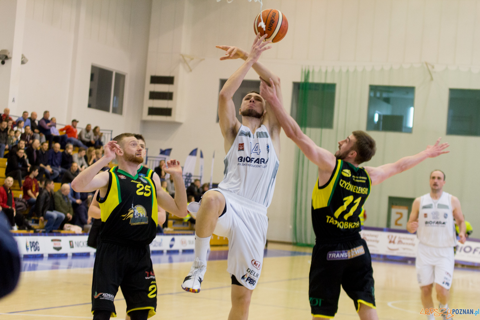 Biofarm Basket Poznań - Siarka Tarnobrzeg Foto: lepszyPOZNAN.pl / Ewelina Jaśkowiak Biofarm Basket Poznań - Siarka Tarnobrzeg Foto: lepszyPOZNAN.pl / Ewelina Jaśkowiak
